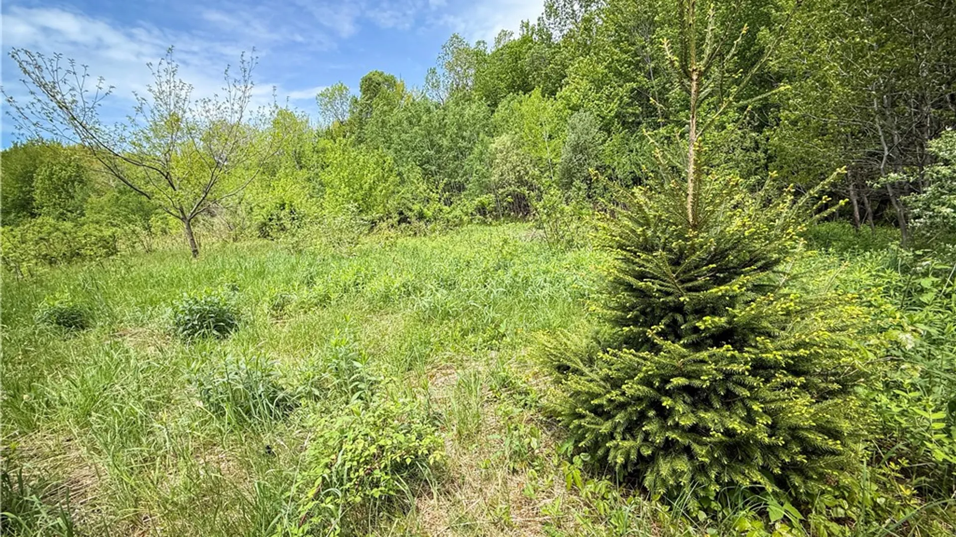 Property at Gifford Road, Hannibal, NY 13074 29