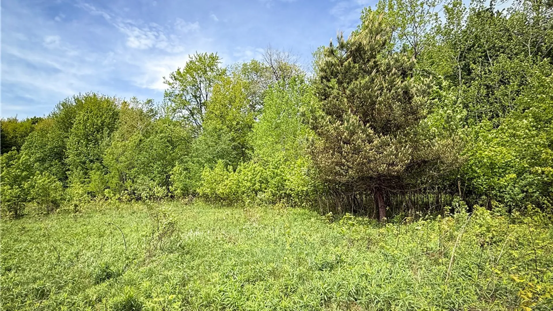 Property at Gifford Road, Hannibal, NY 13074 31