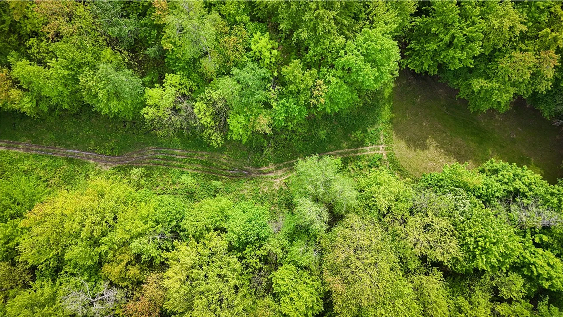 Property at Gifford Road, Hannibal, NY 13074 36