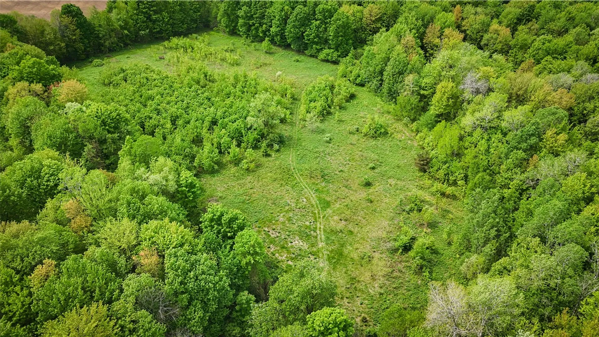 Property at Gifford Road, Hannibal, NY 13074 37