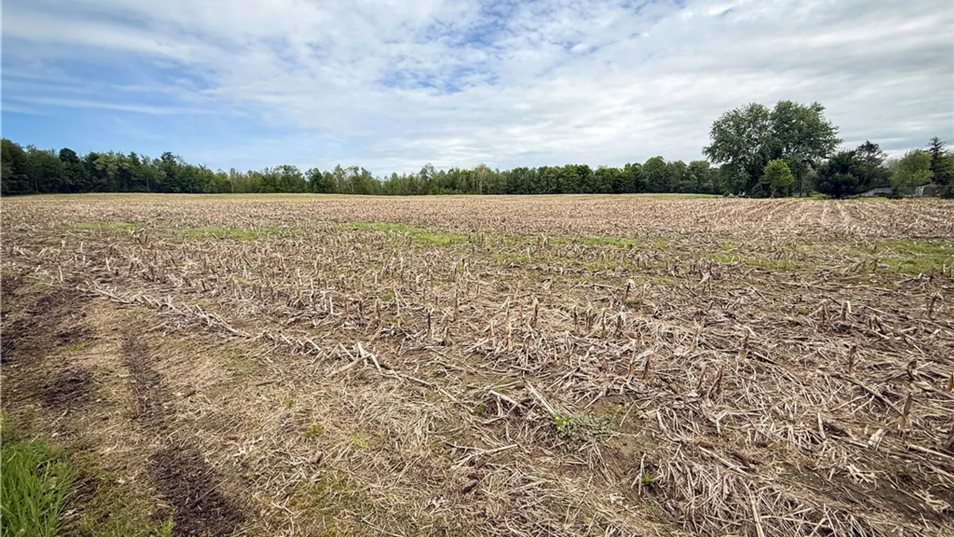 Property at Gifford Road, Hannibal, NY 13074 4