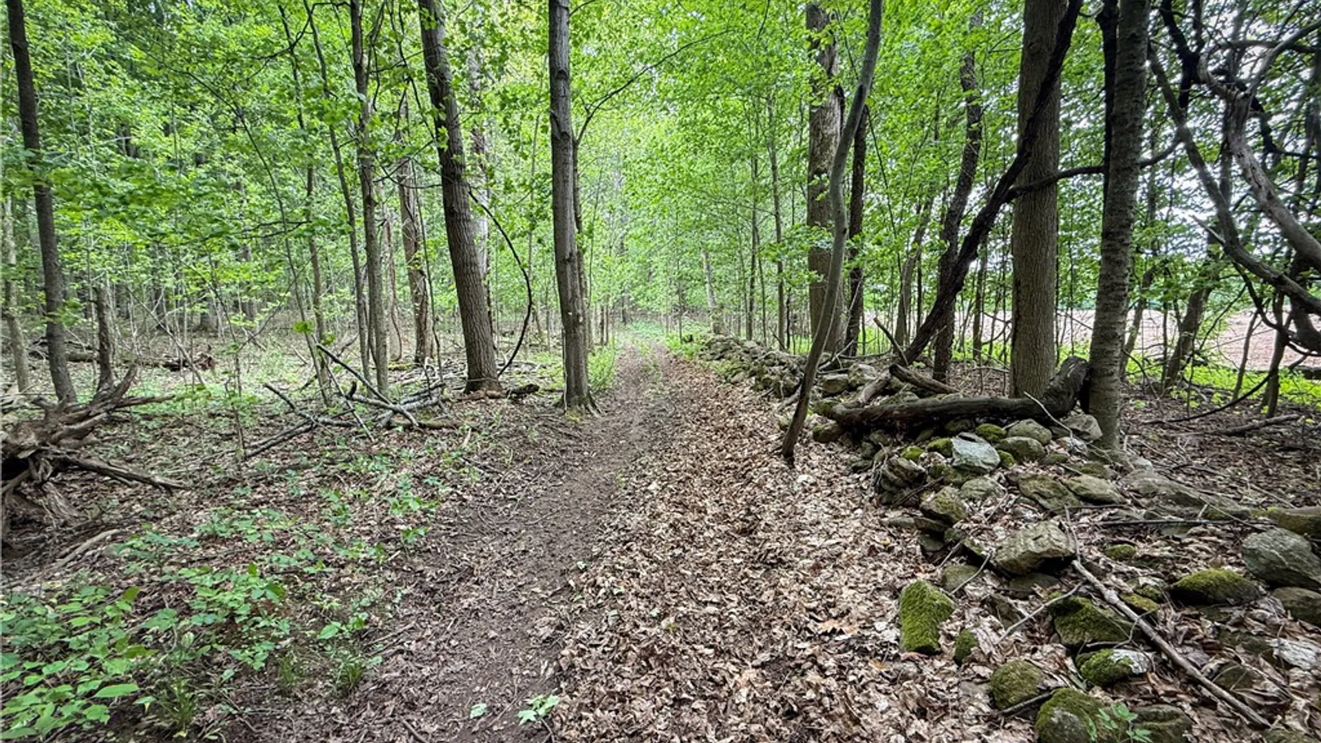 Property at Gifford Road, Hannibal, NY 13074 40