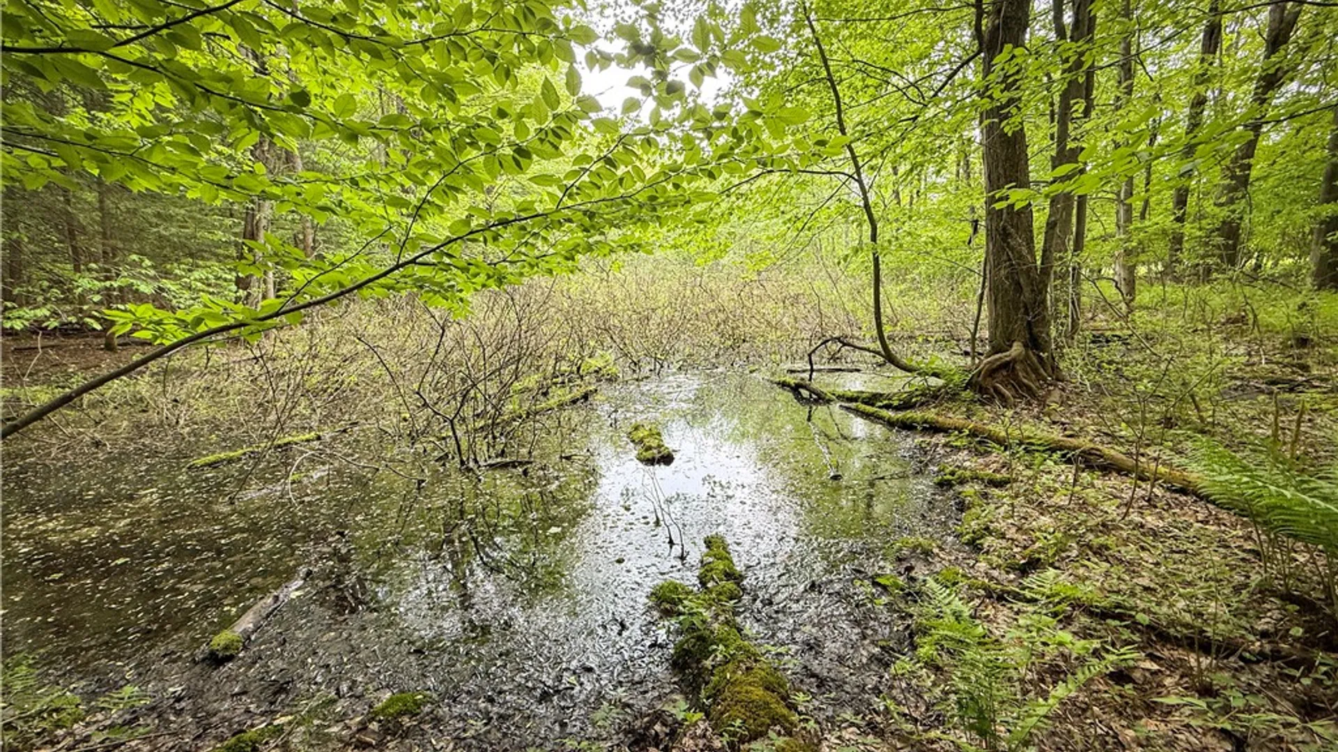 Property at Gifford Road, Hannibal, NY 13074 43