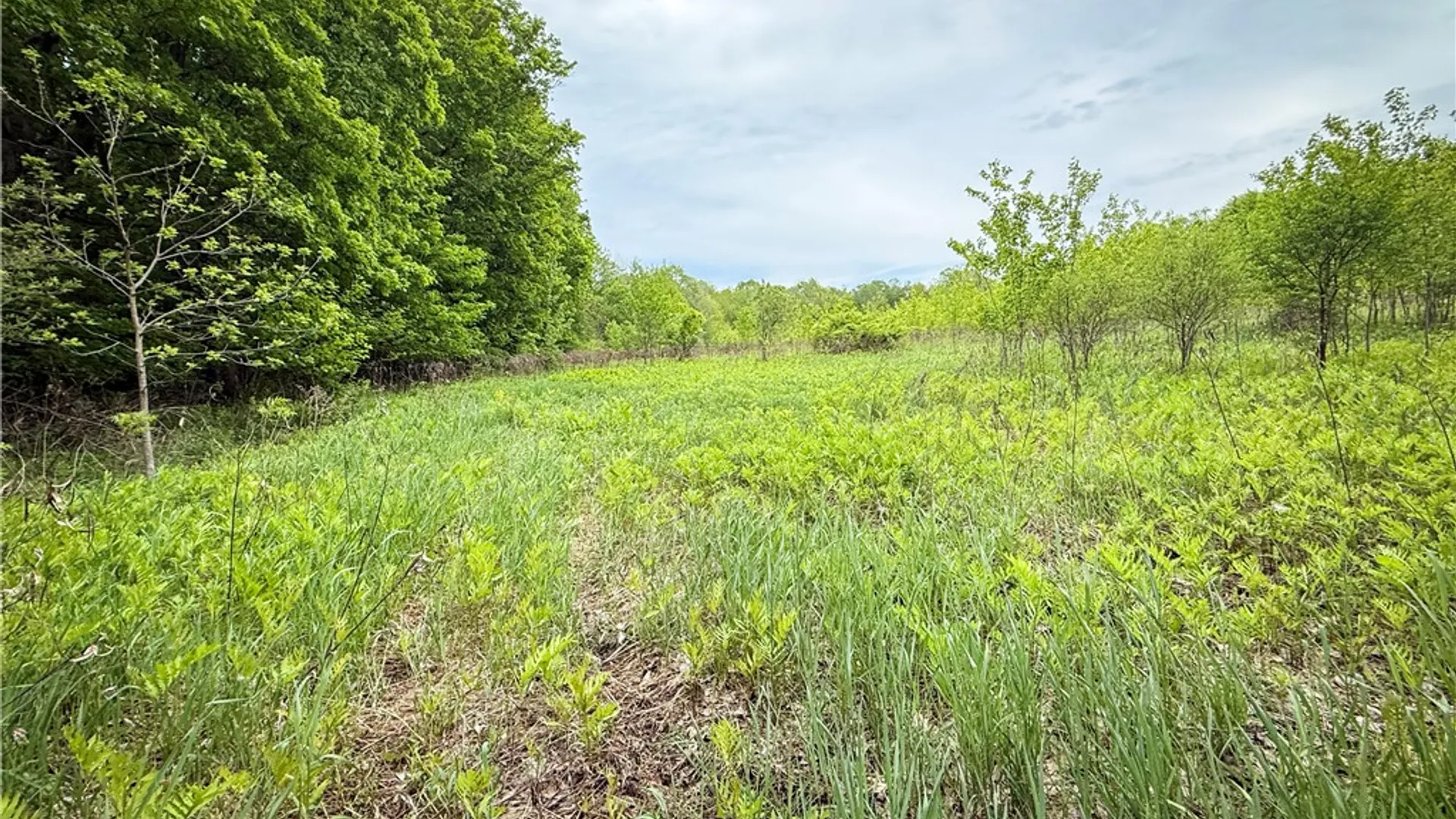 Property at Gifford Road, Hannibal, NY 13074 44