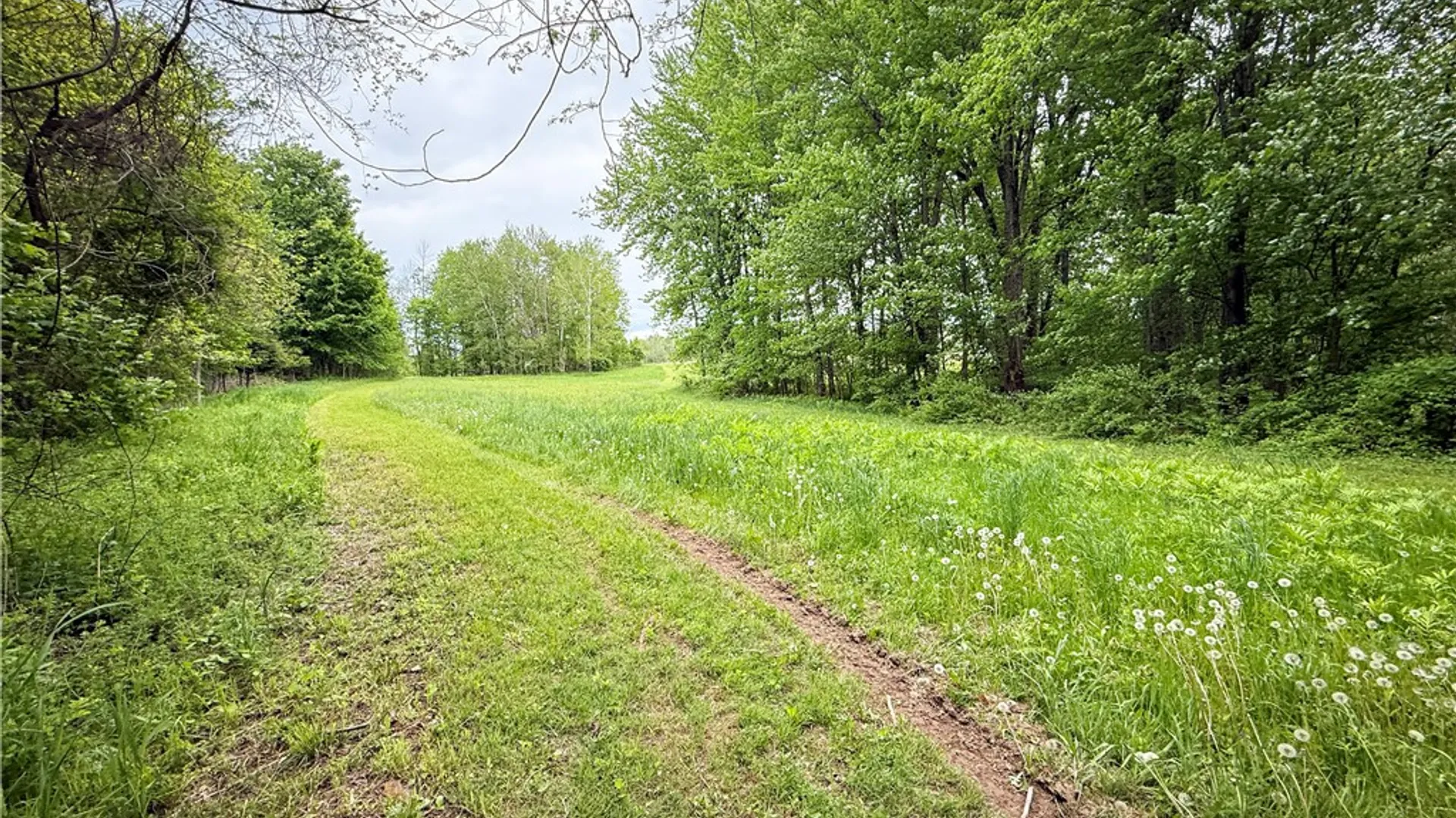 Property at Gifford Road, Hannibal, NY 13074 45