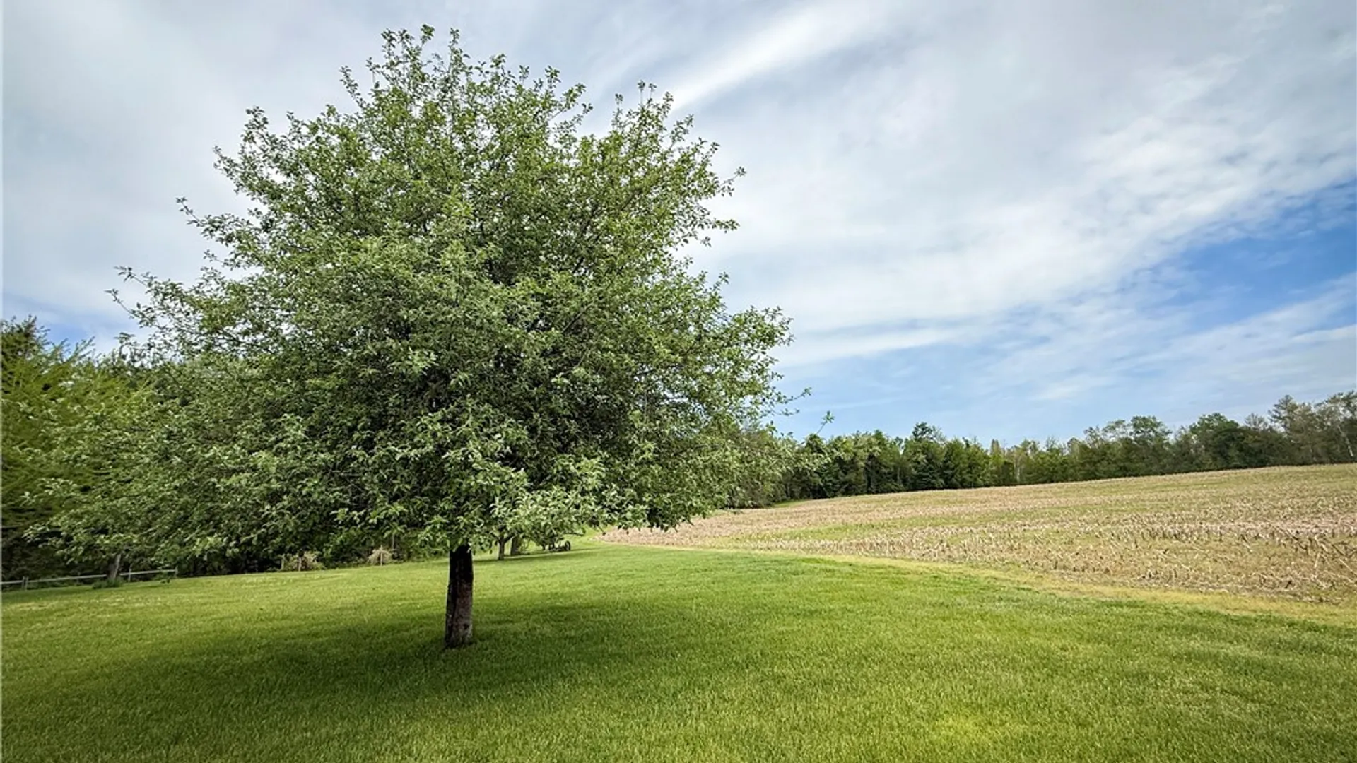 Property at Gifford Road, Hannibal, NY 13074 8