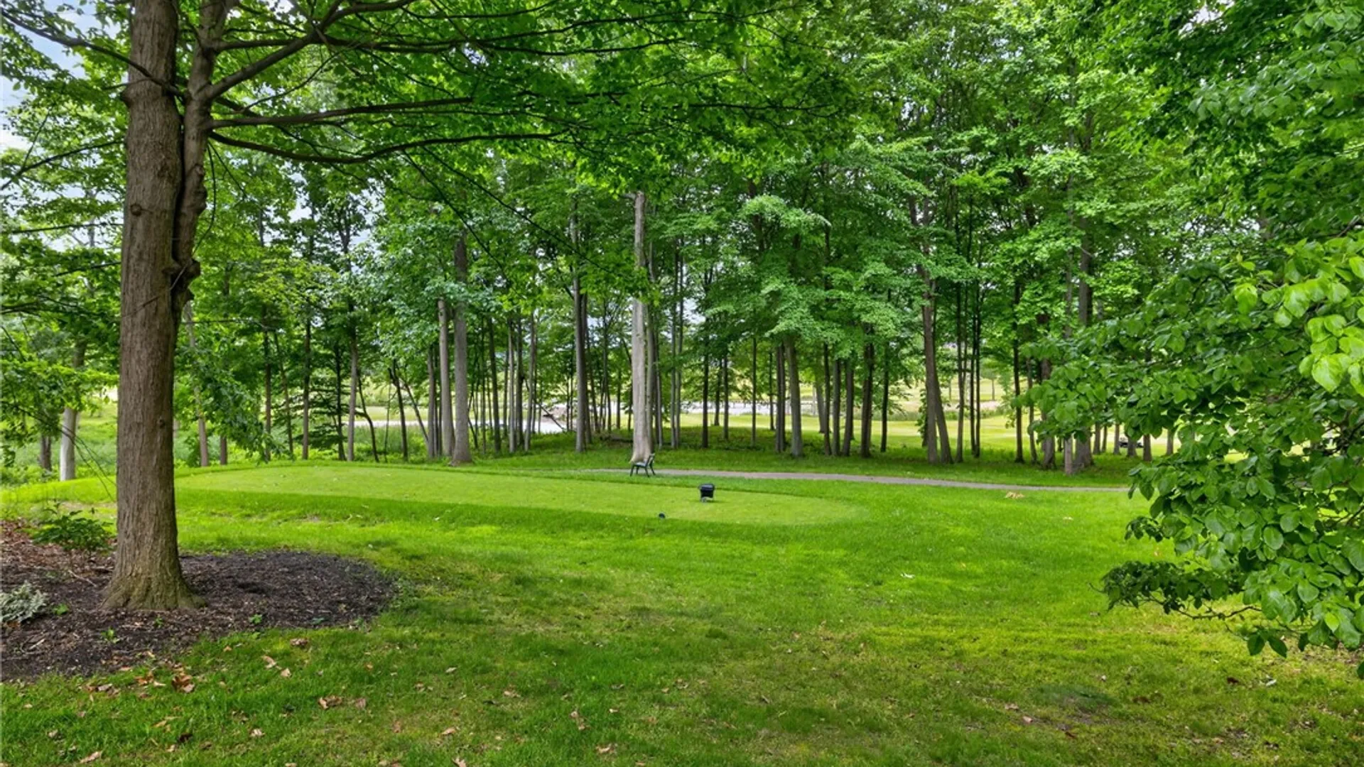 Property at 12 Buck Thorn Run, Victor, NY 14564 43