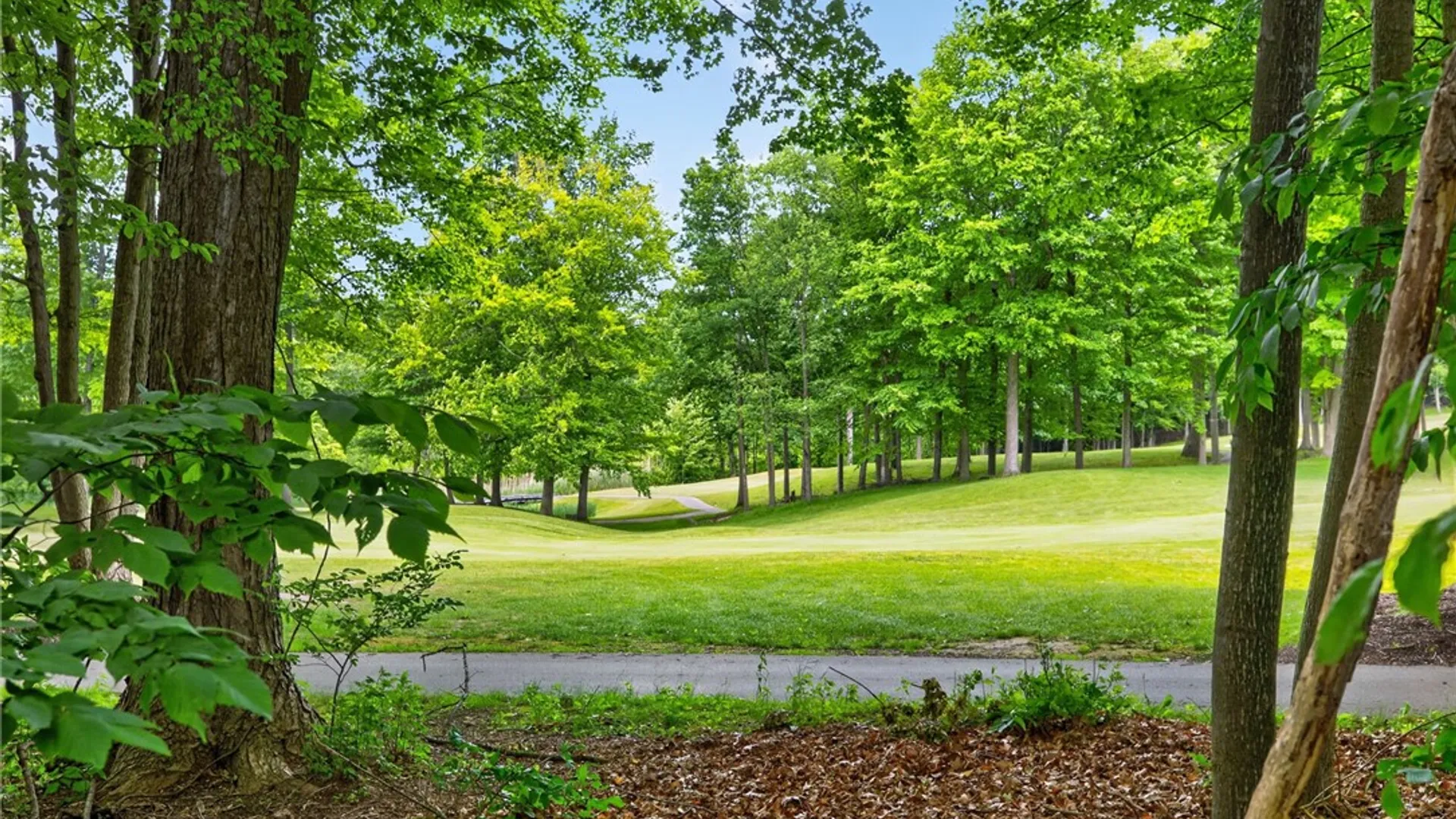 Property at 12 Buck Thorn Run, Victor, NY 14564 44