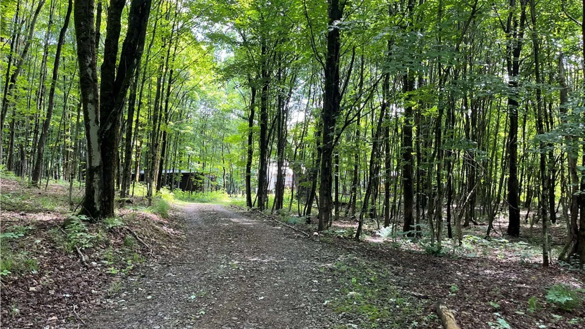 Property at 52 Mc Caw Road, Redfield, NY 13437 38