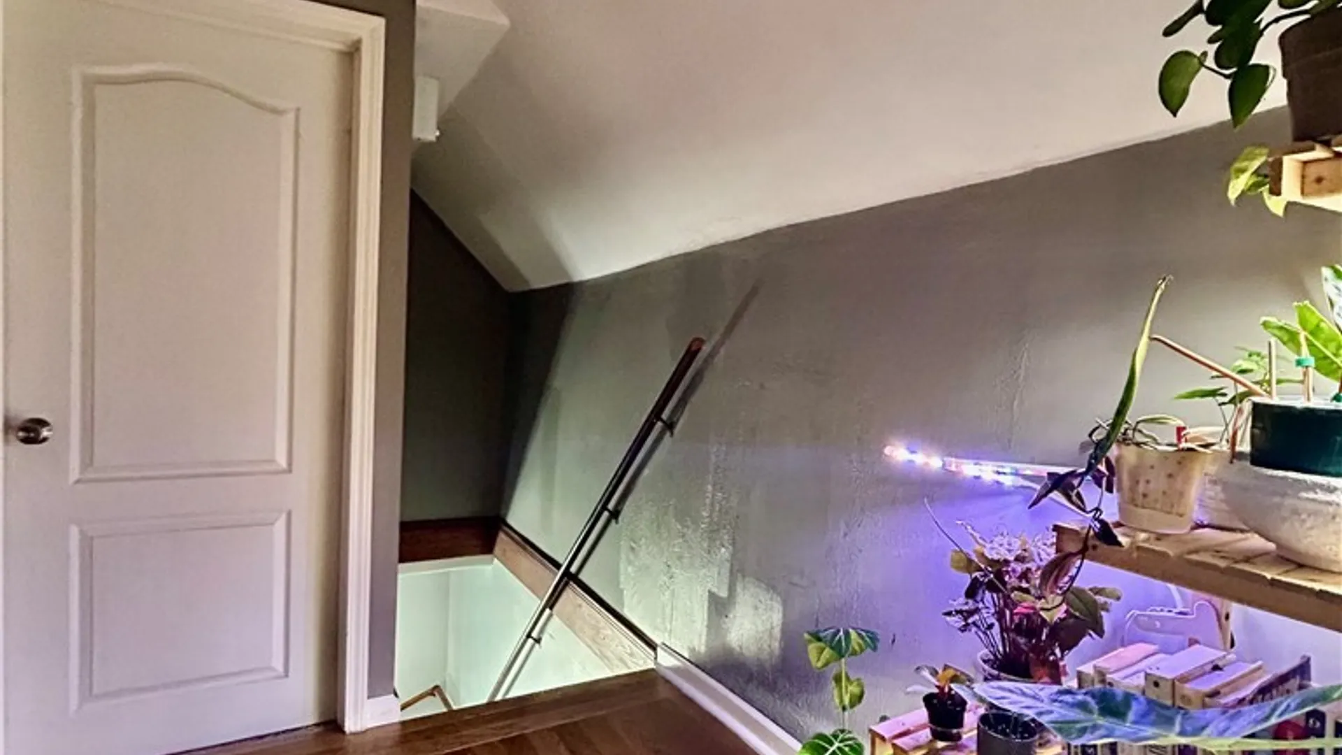 Property at 113 Massachusetts Avenue, Buffalo, NY 14213 28