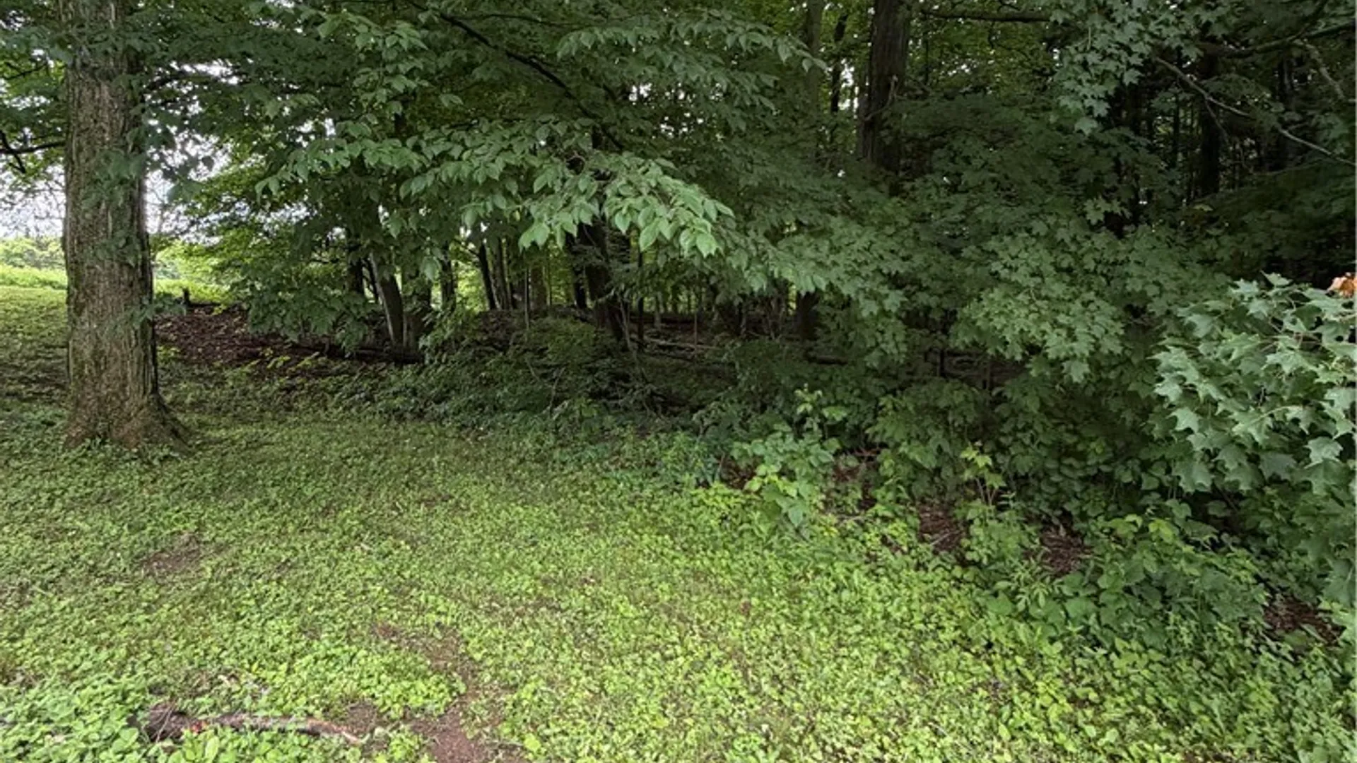Property at 6768 Forbes Road, Lincoln, NY 13032 9