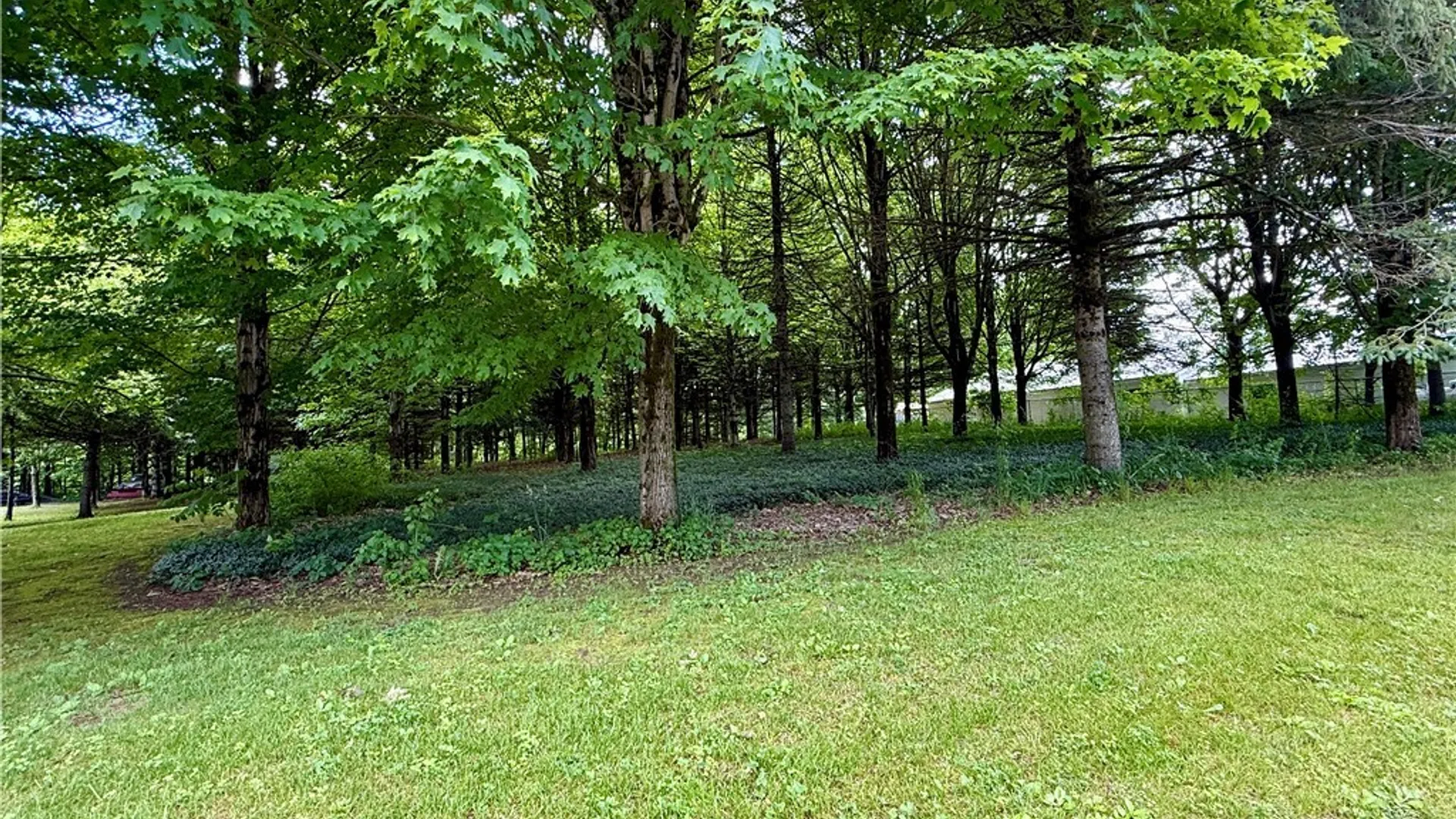 Property at Vida Drive, Williamstown, NY 13493 2