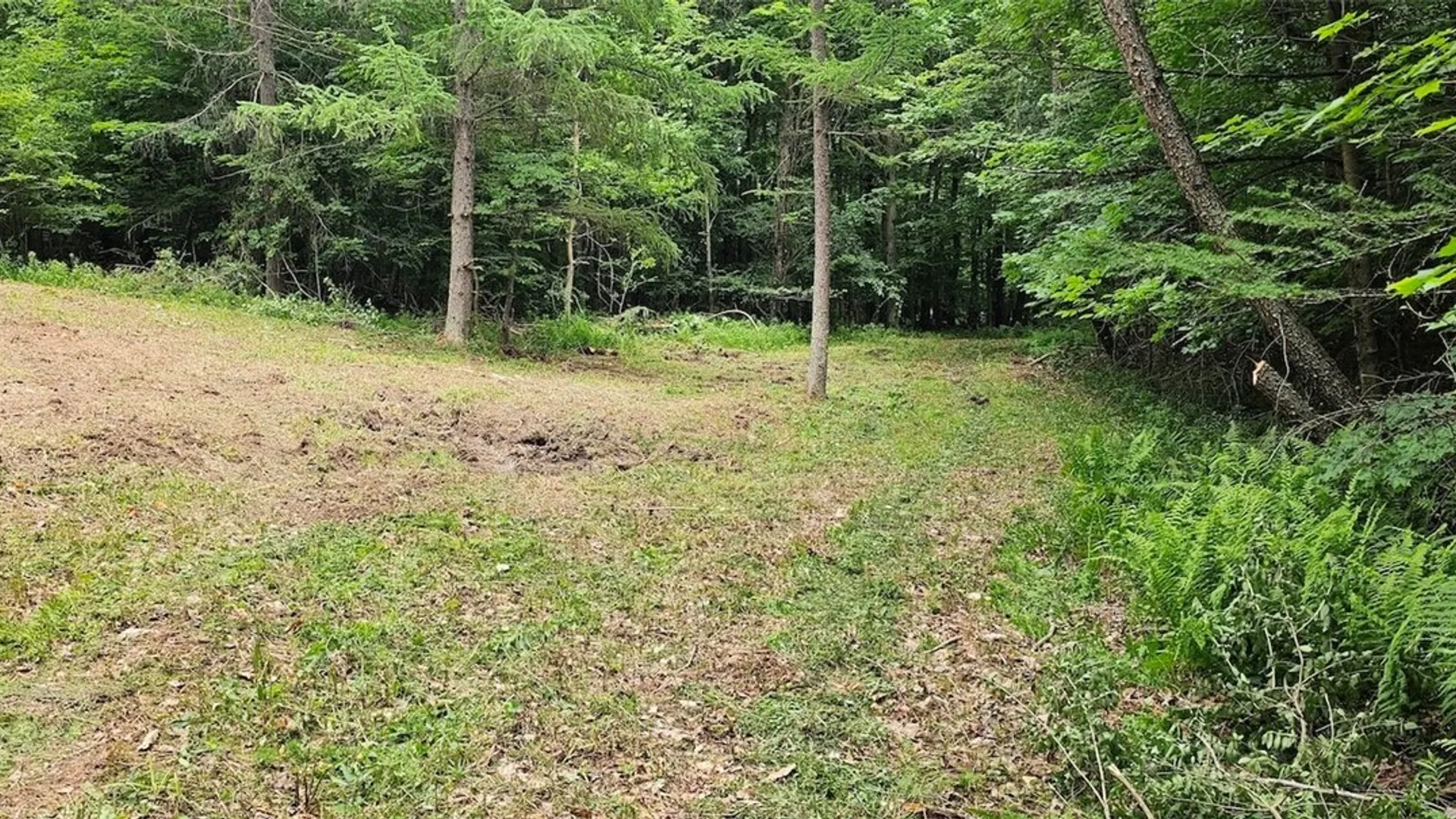 Property at Cr-16, Orange, NY 14812 2