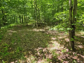 Property at Moose River Road, Lyonsdale, NY 13433