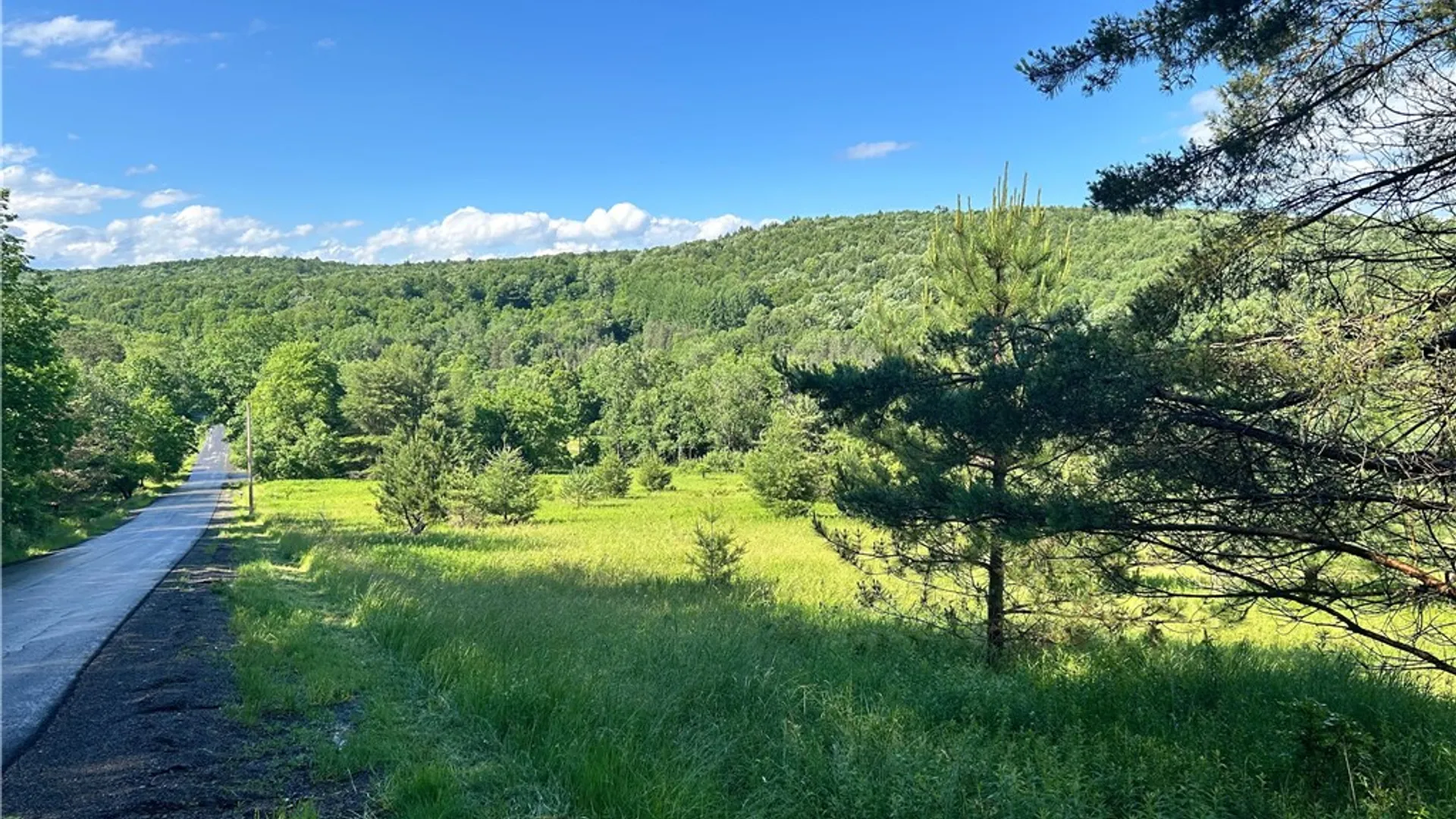 Property at Mary Brown Hill Road, Laurens, NY 13796 10