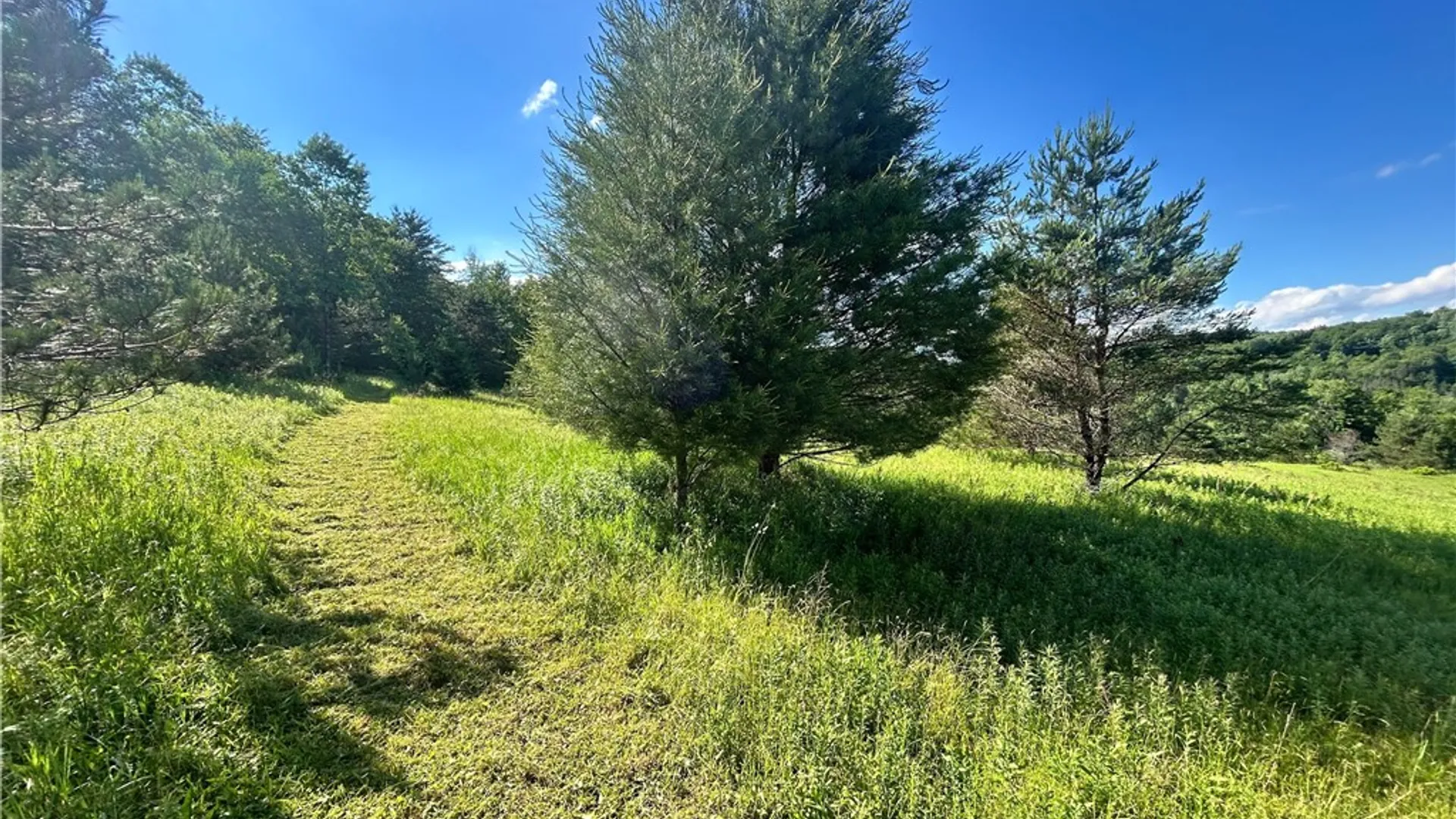 Property at Mary Brown Hill Road, Laurens, NY 13796 2