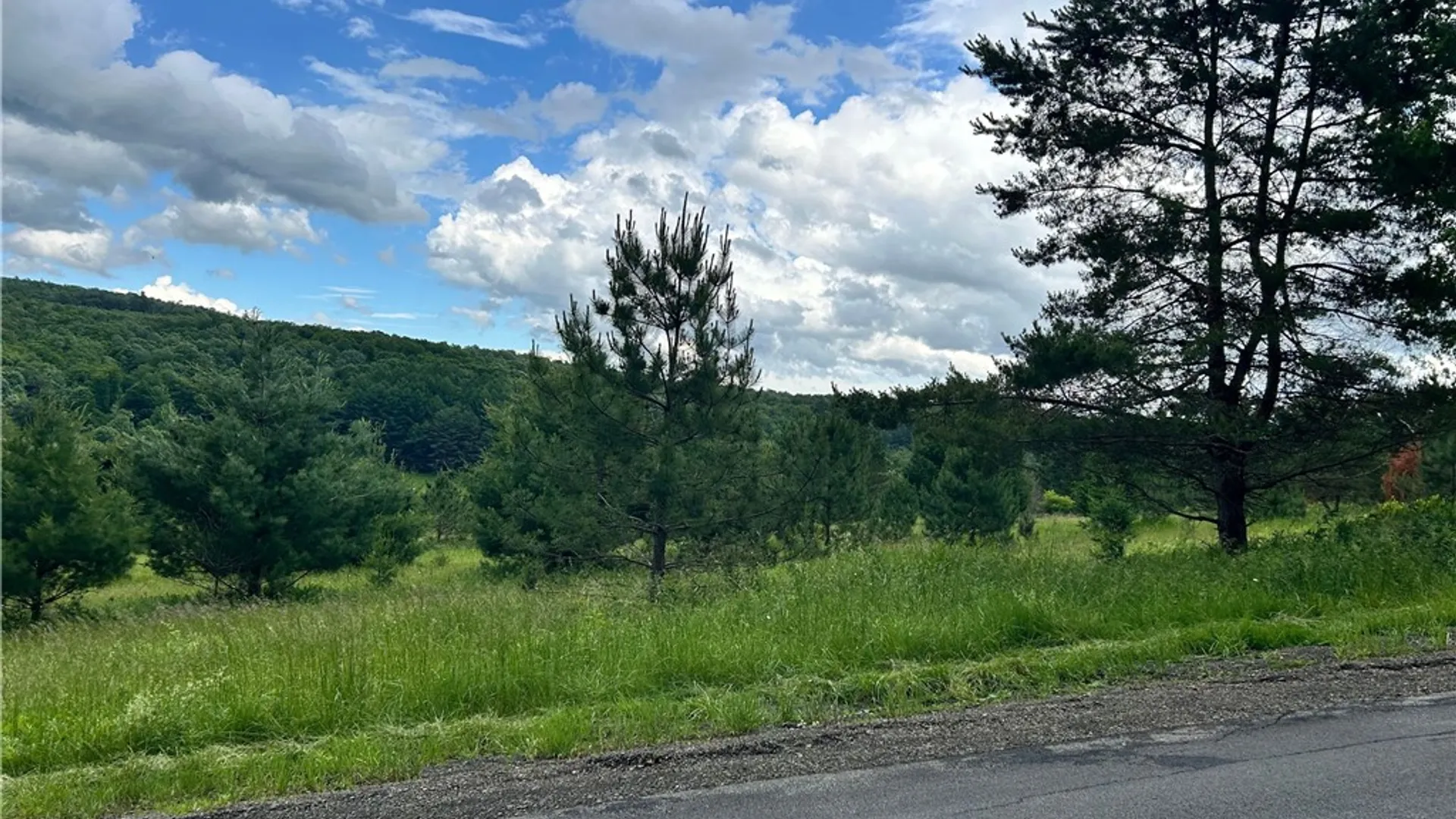 Property at Mary Brown Hill Road, Laurens, NY 13796 4