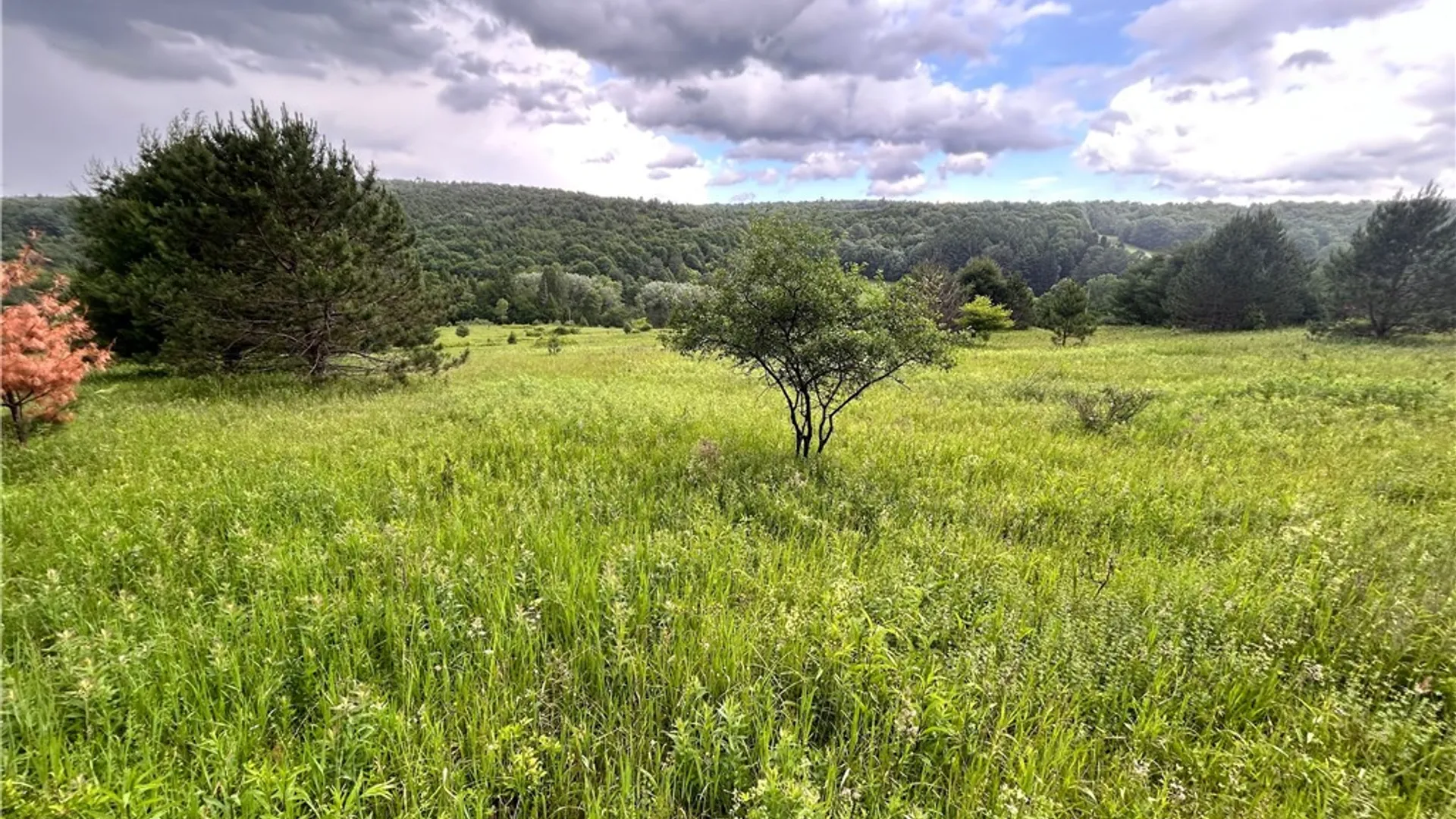 Property at Mary Brown Hill Road, Laurens, NY 13796 5
