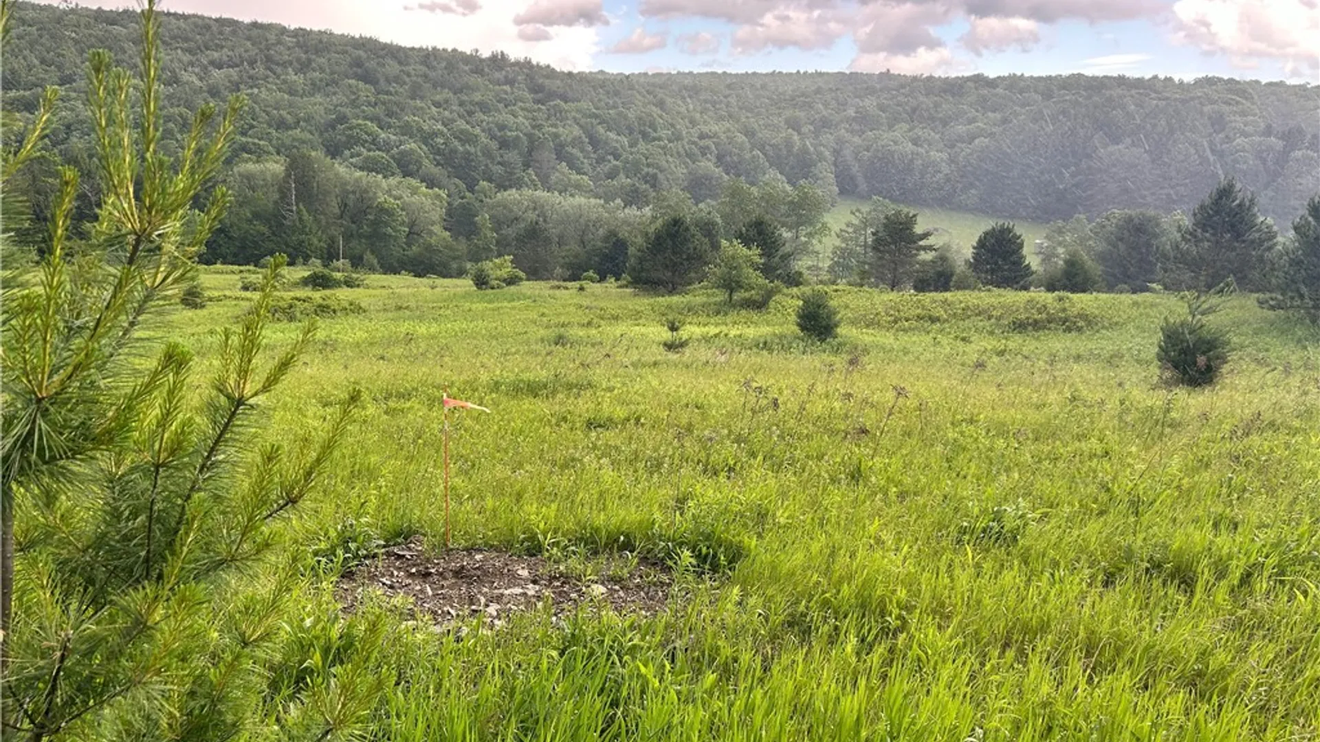 Property at Mary Brown Hill Road, Laurens, NY 13796 6