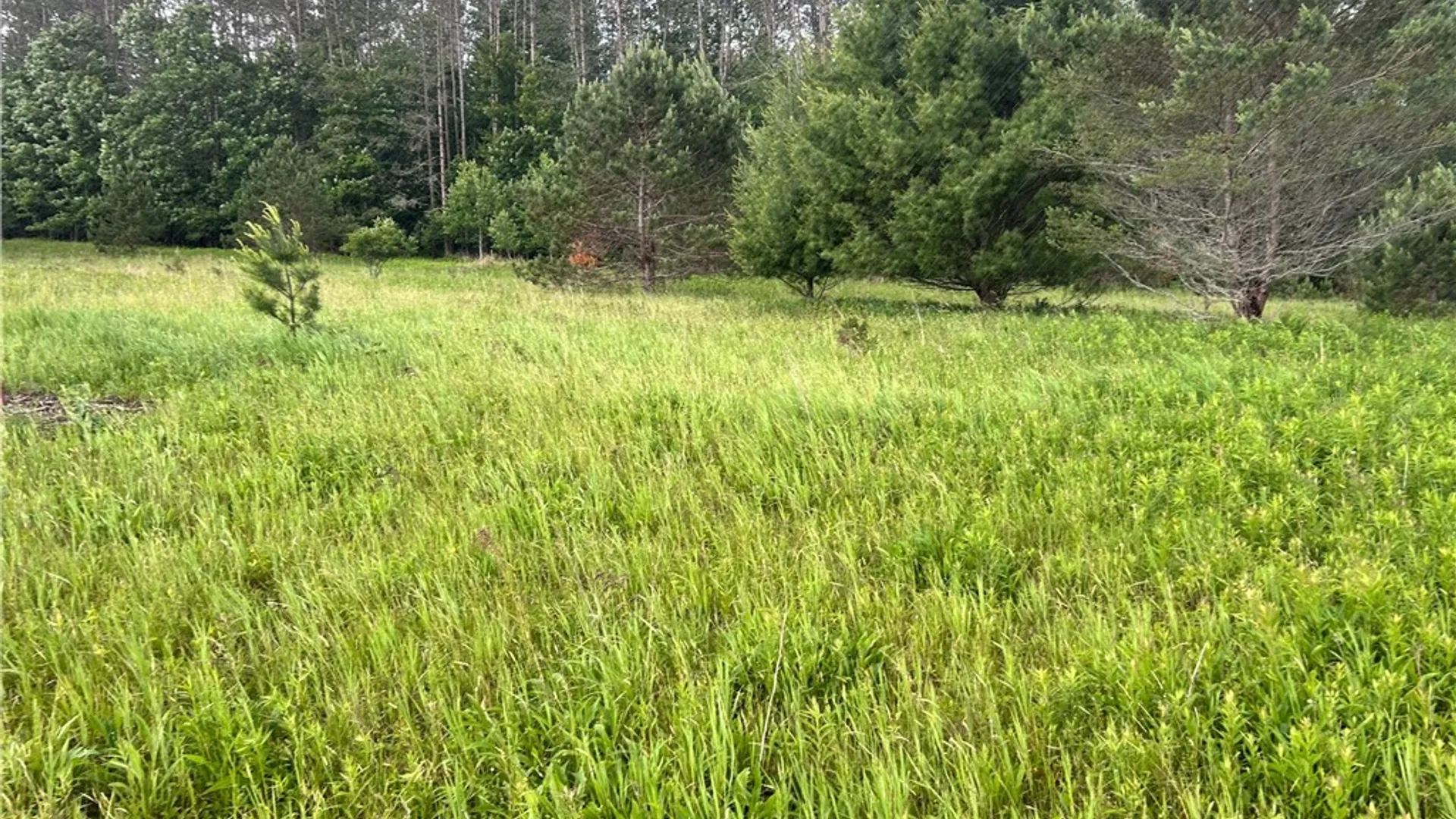 Property at Mary Brown Hill Road, Laurens, NY 13796 7