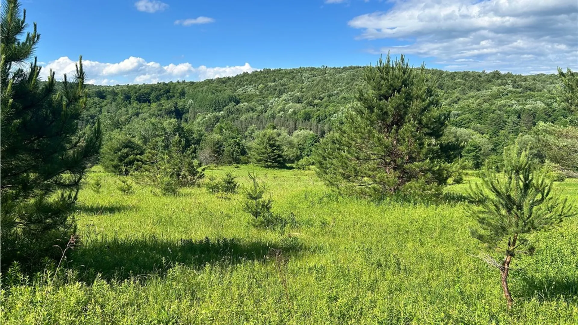 Property at Mary Brown Hill Road, Laurens, NY 13796 8
