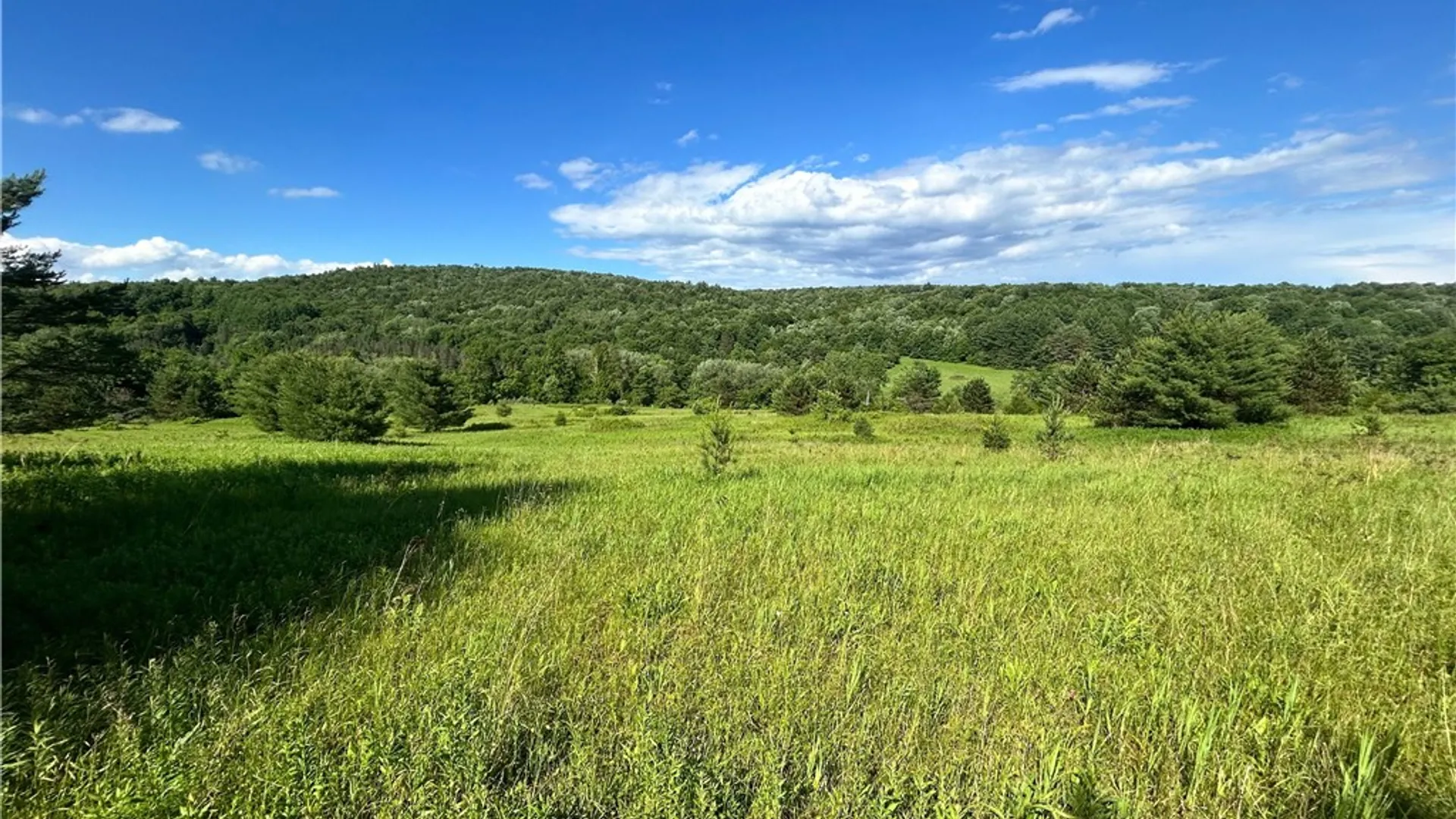 Property at Mary Brown Hill Road, Laurens, NY 13796 9