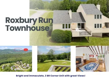 220 2-1 Woodland Drive, Roxbury, NY 12421