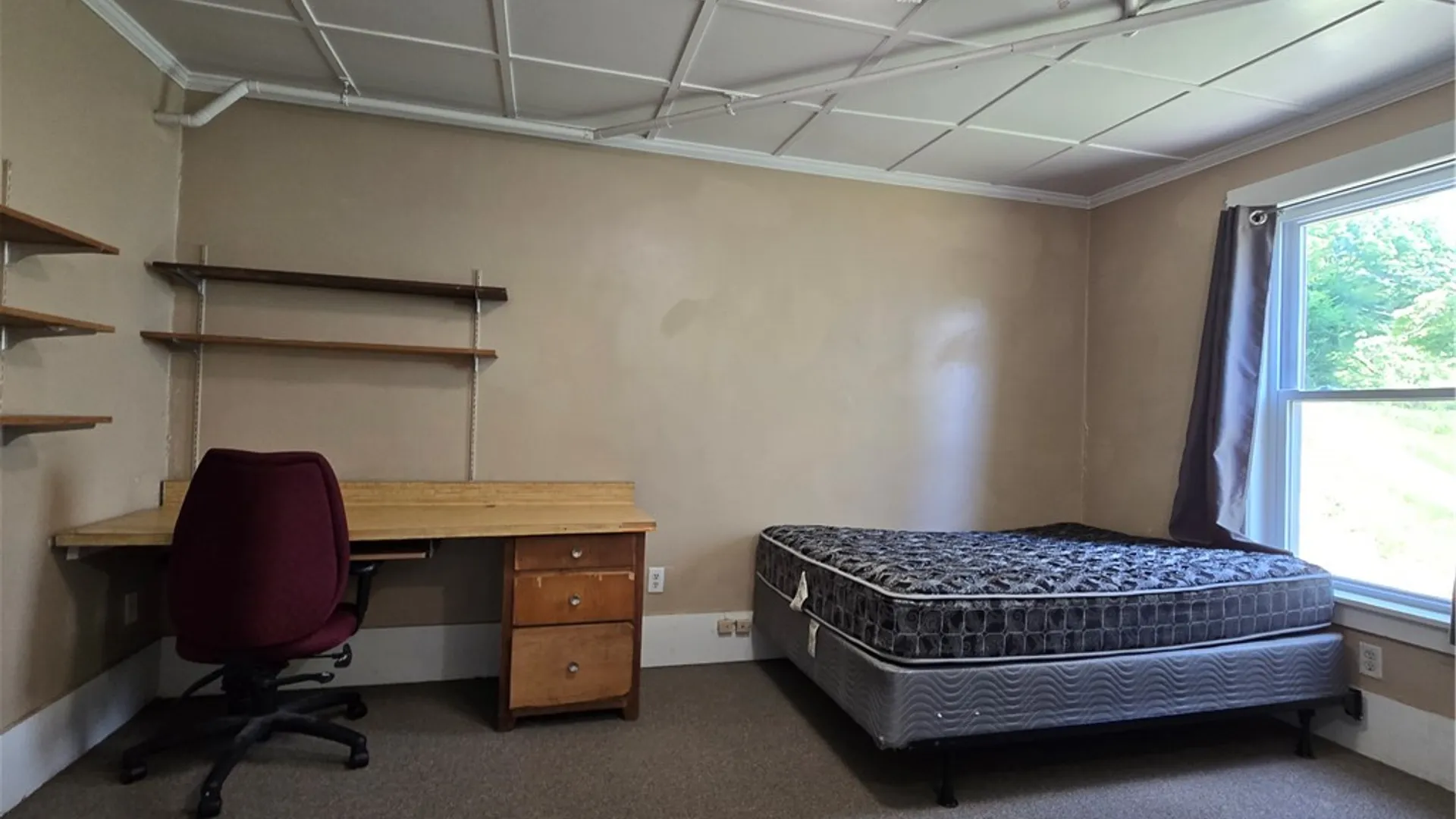 Property at 218 Delaware Avenue, Ithaca City, NY 14850 9