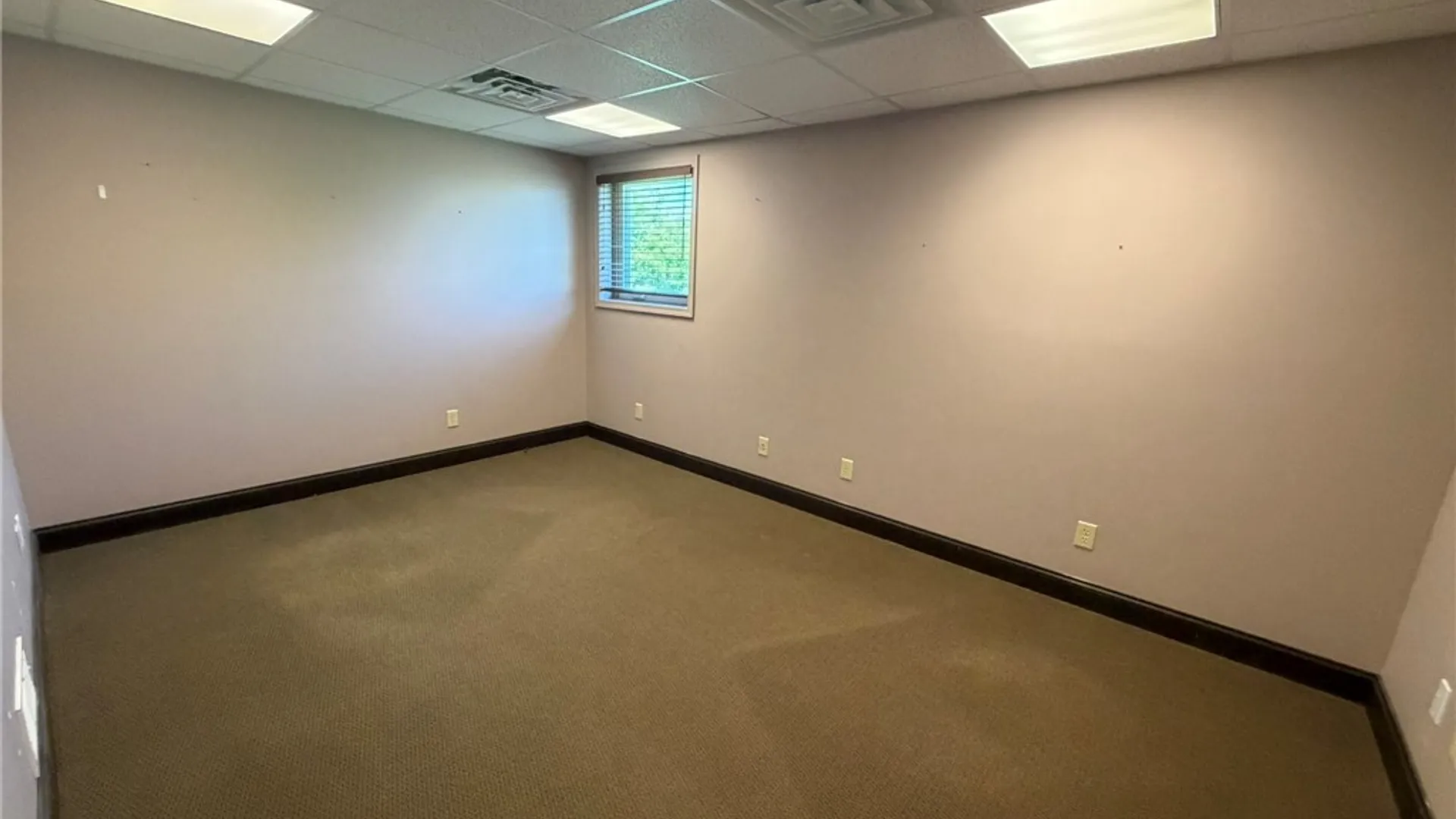 Property at 1835 N Union Street, Parma, NY 14559 12