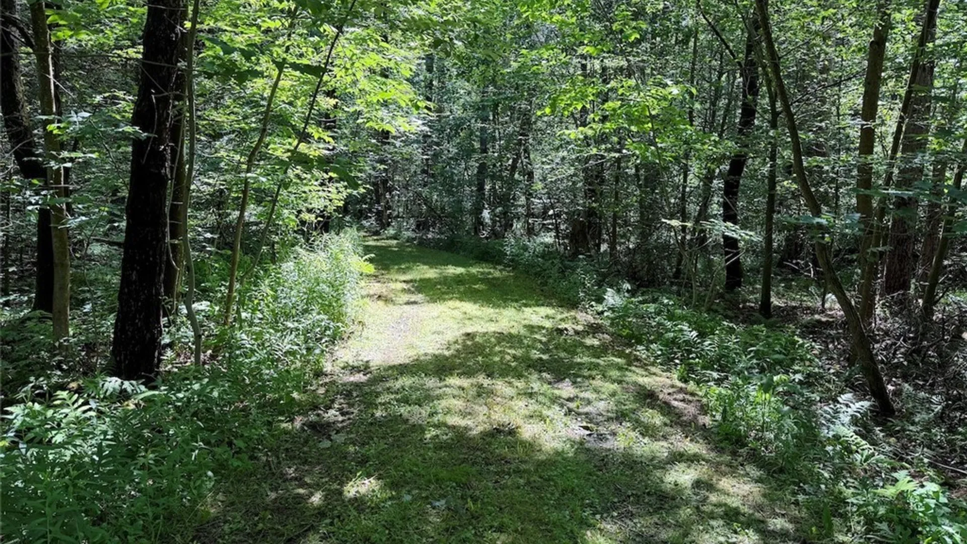 Property at Peet Hill Road, Farmersville, NY 14737 10