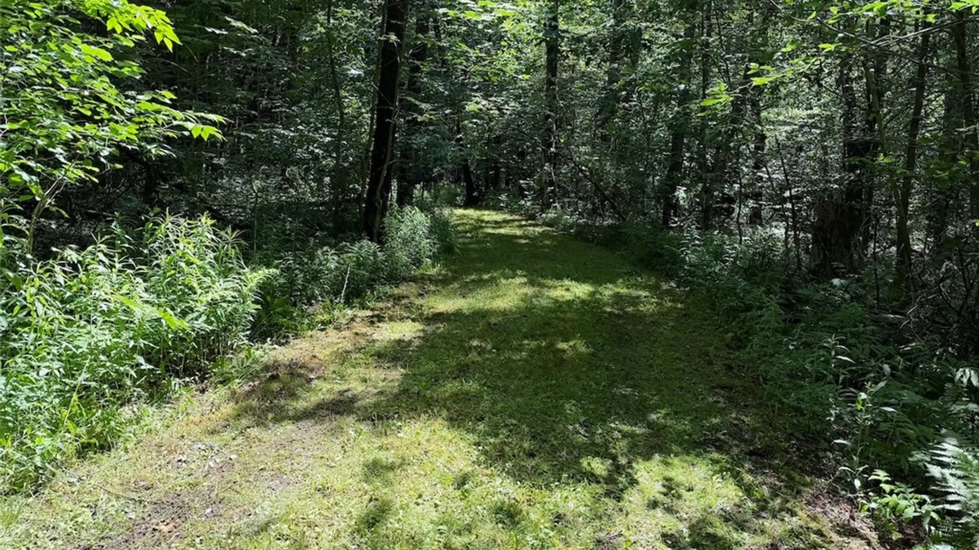 Property at Peet Hill Road, Farmersville, NY 14737 11