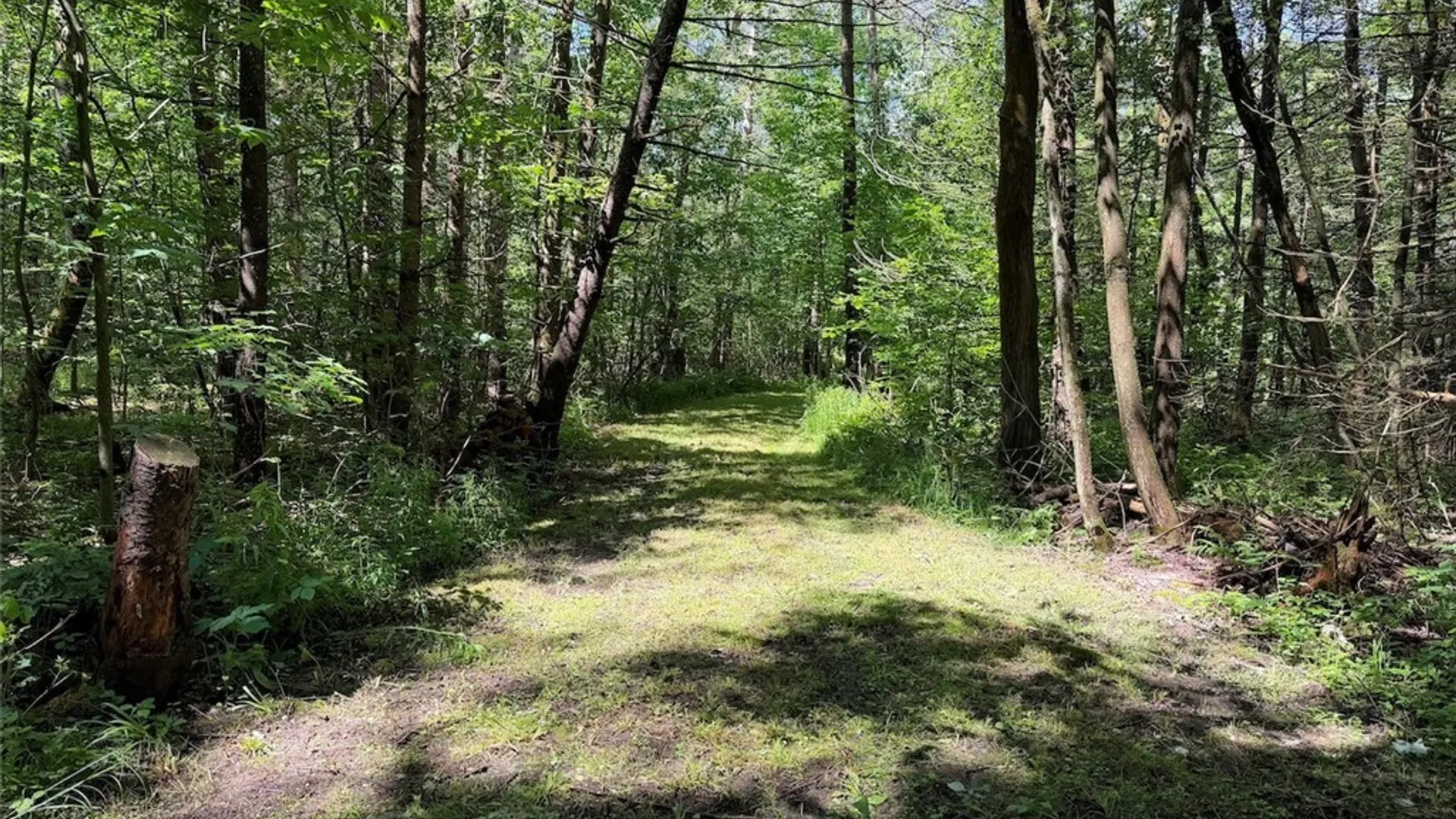 Property at Peet Hill Road, Farmersville, NY 14737 22