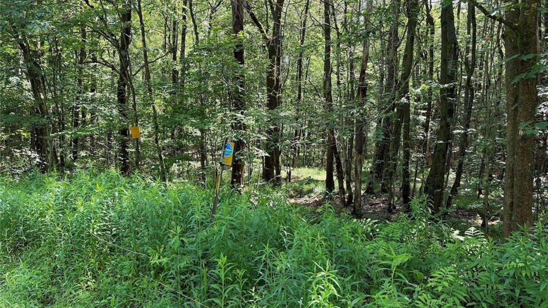 Property at Peet Hill Road, Farmersville, NY 14737 25