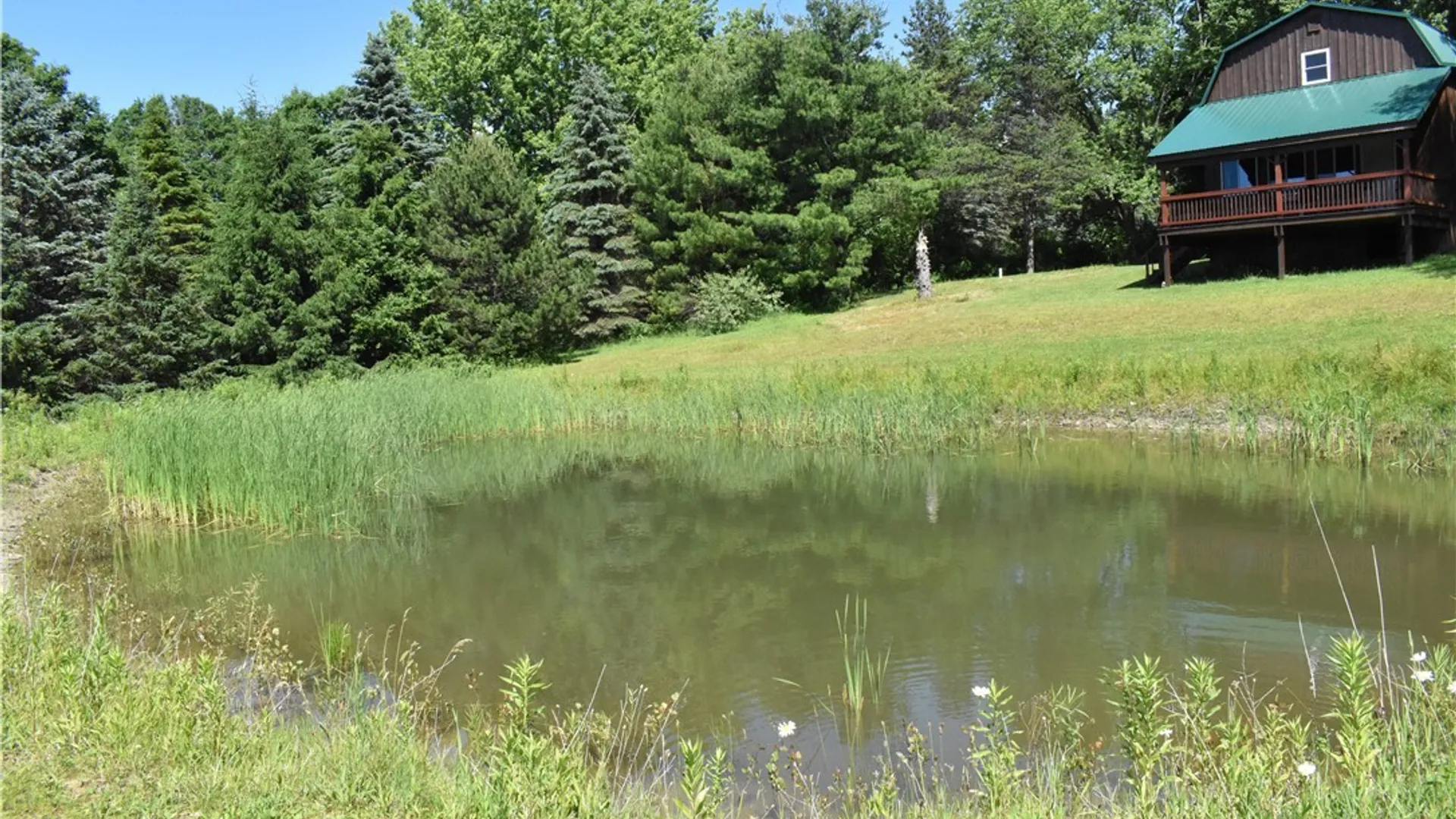 Property at 9504 Forty Road, Otto, NY 14719 32