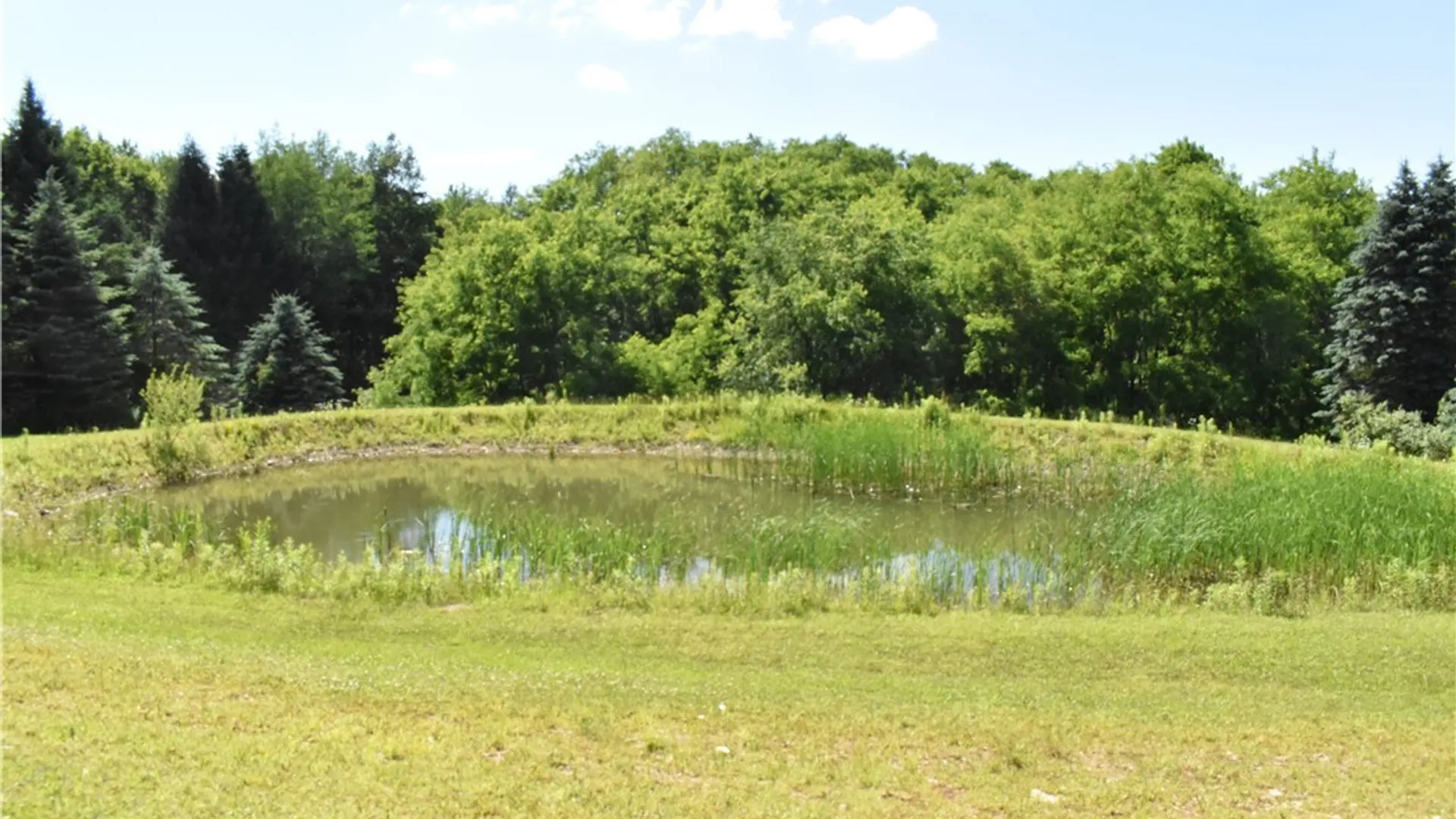 Property at 9504 Forty Road, Otto, NY 14719 4