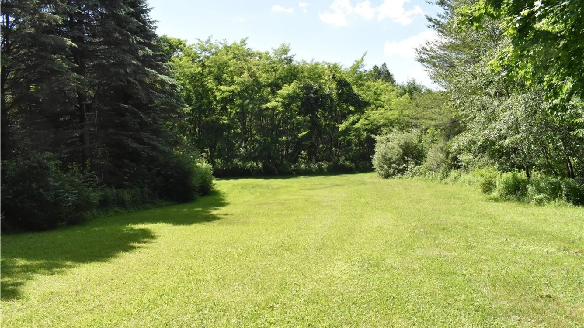 Property at 9504 Forty Road, Otto, NY 14719 7