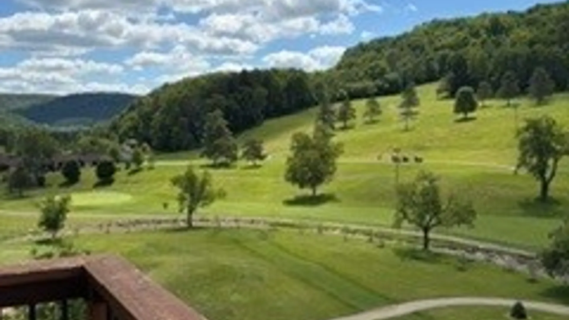 Property at 6447 Holiday Valley Road, Ellicottville, NY 14731 6