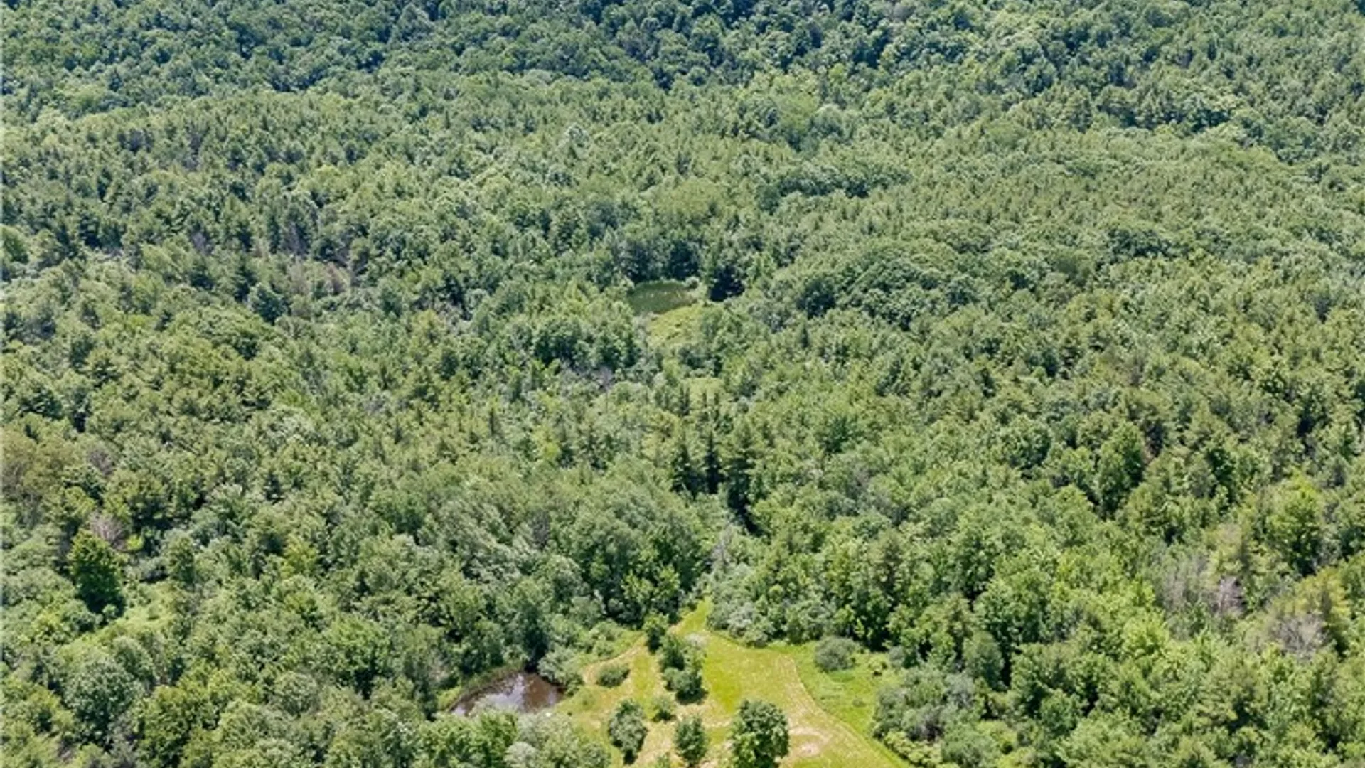 Property at 1970 Hornby Road, Orange, NY 14812 12
