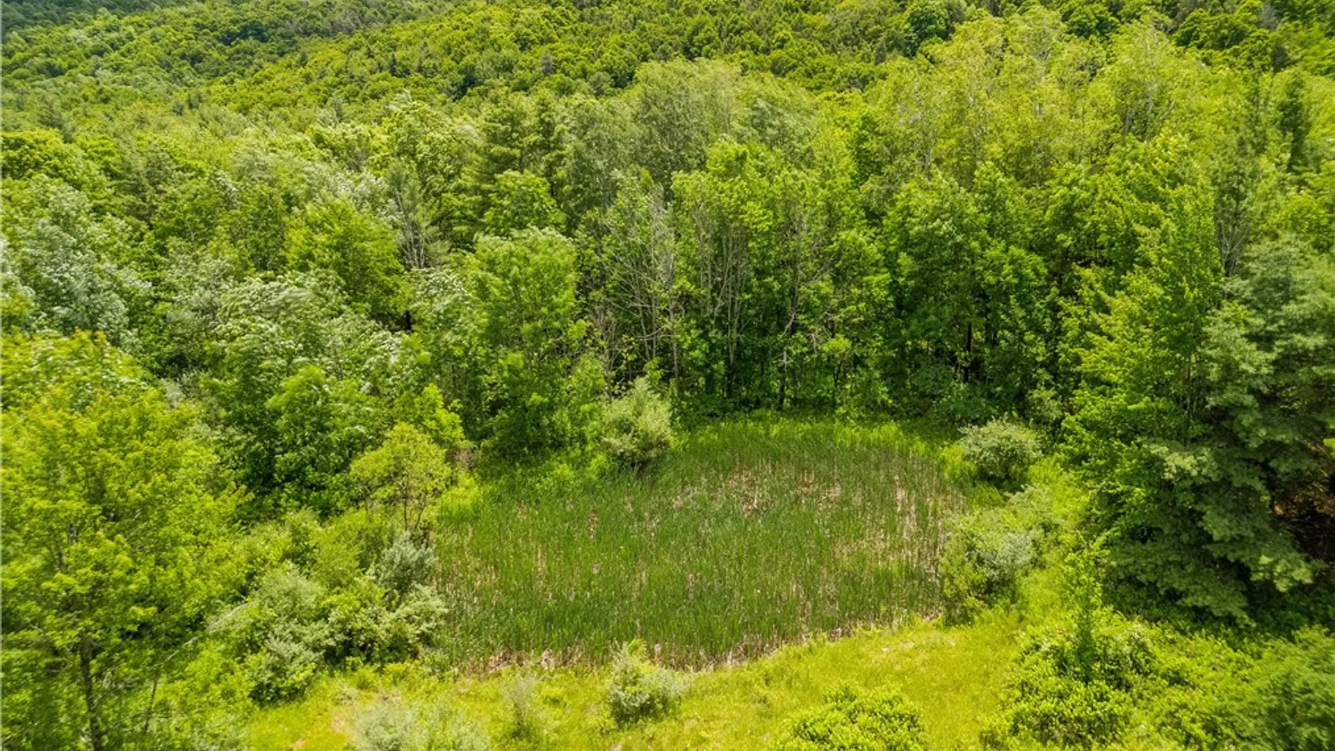 Property at 1970 Hornby Road, Orange, NY 14812 19