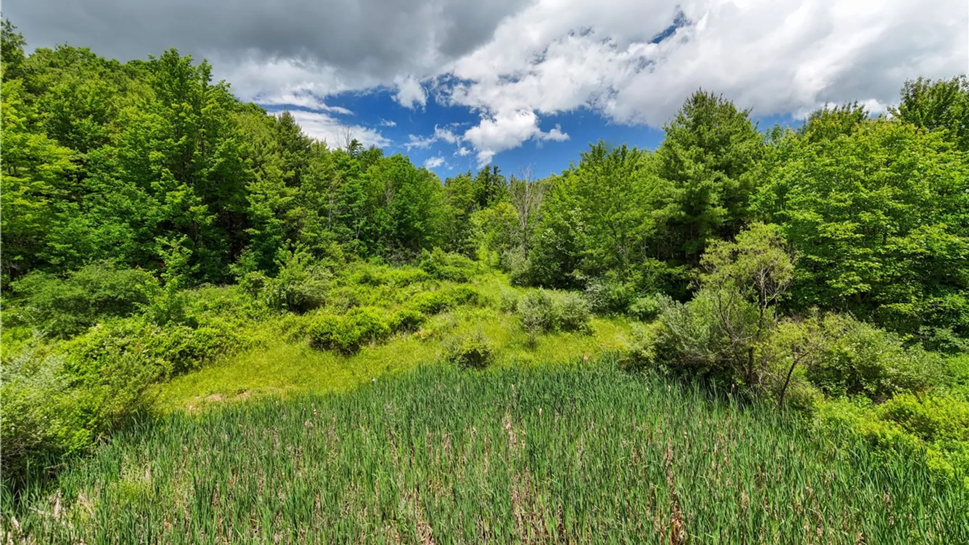 Property at 1970 Hornby Road, Orange, NY 14812 20