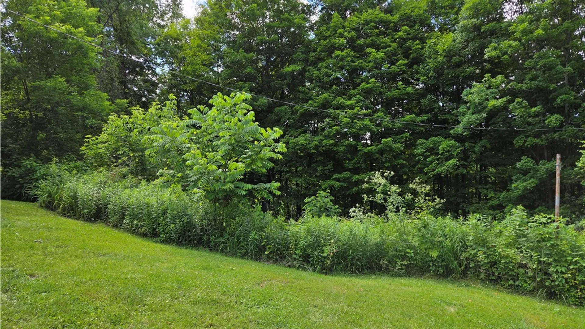 Property at 5 S Hill Road, Van Etten, NY 14889 44