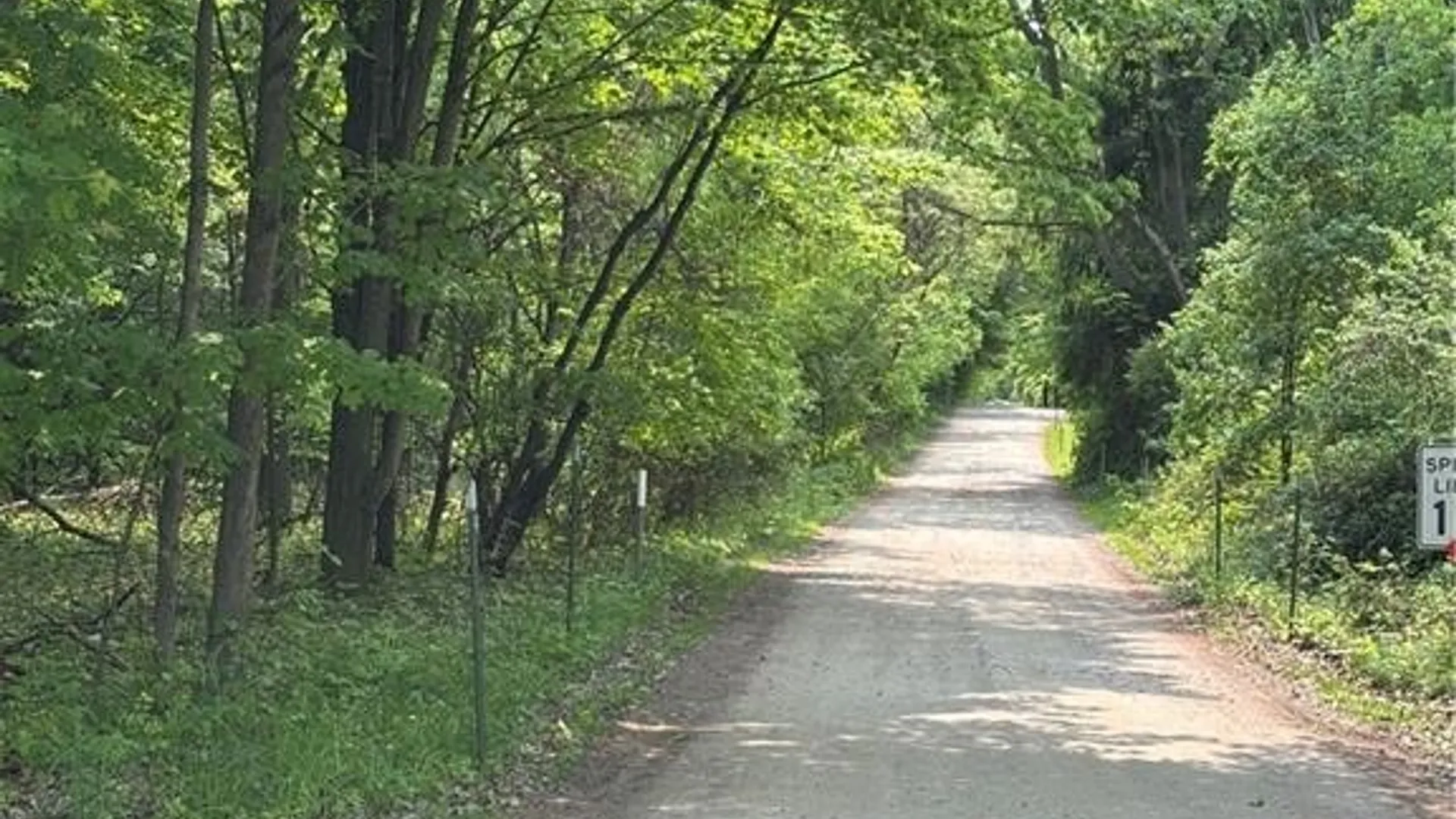 Property at Spring Road, Ossian, NY 14437 11