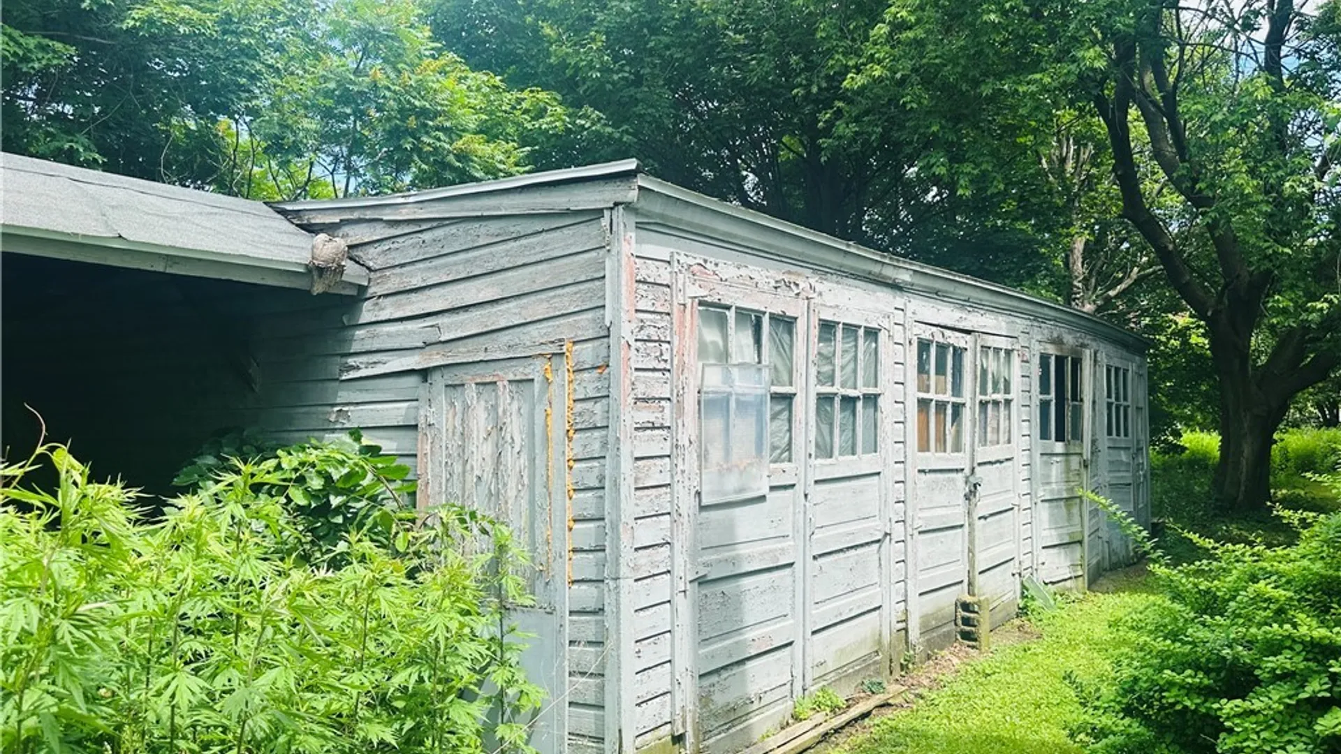 Property at 11 Murray Street, Oswego, NY 13126 3