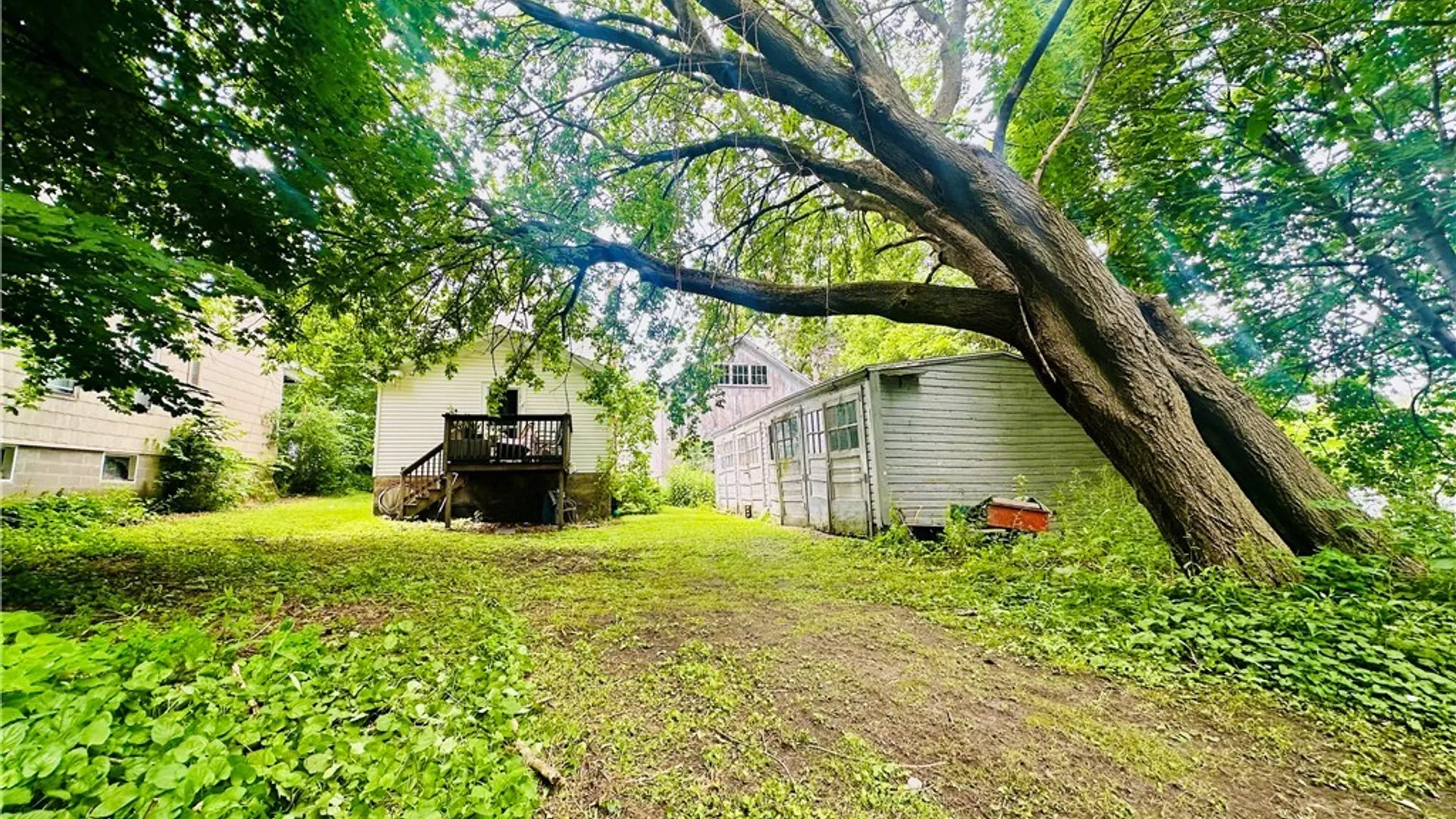 Property at 11 Murray Street, Oswego, NY 13126 6
