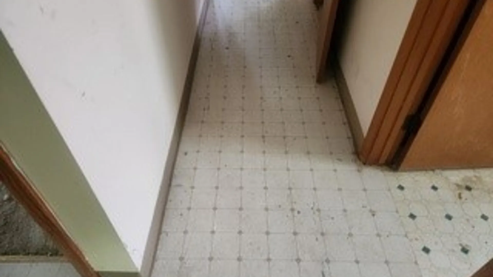 Property at 45 Lexington, Amherst, NY 14226 16