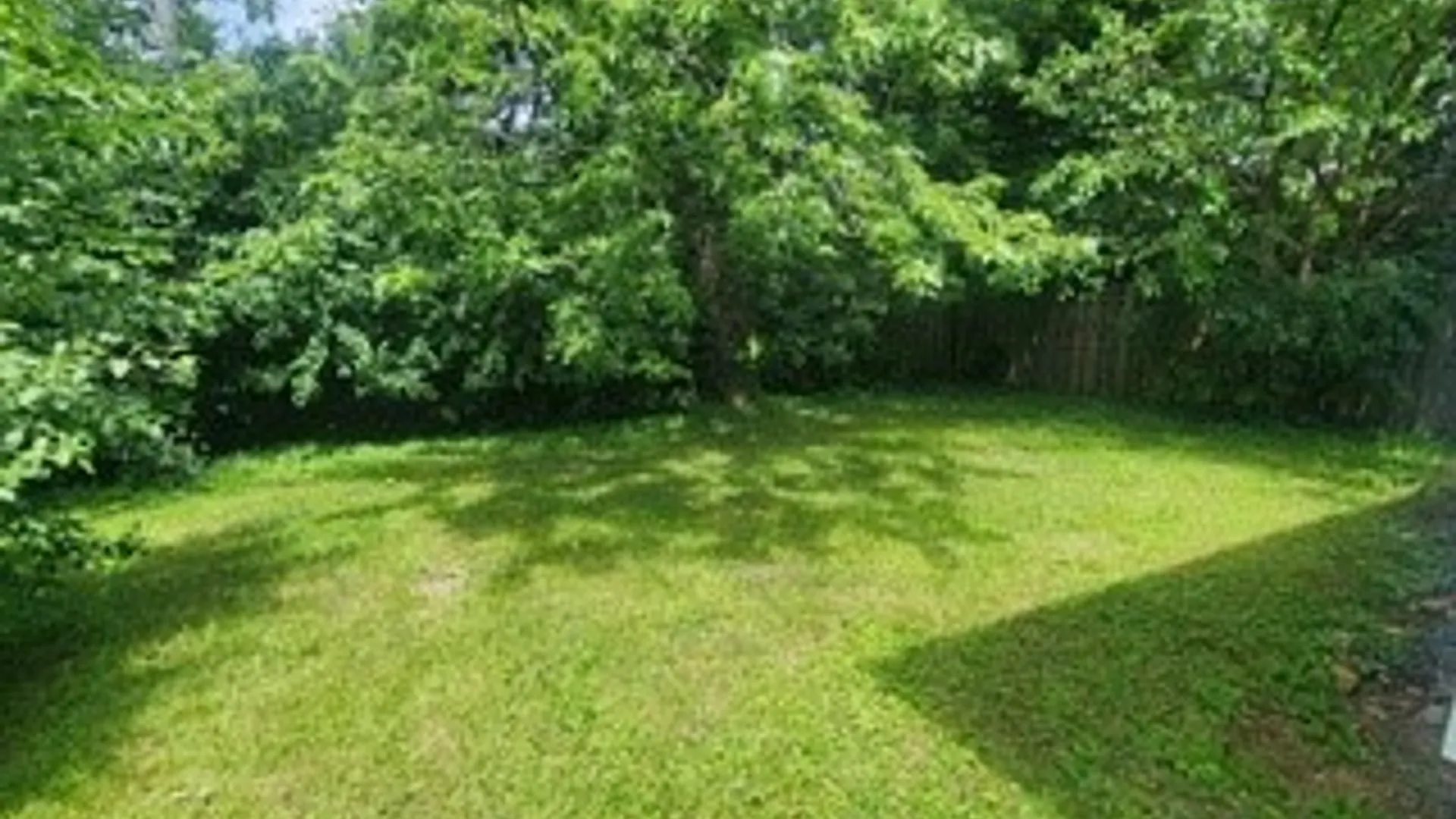 Property at 45 Lexington, Amherst, NY 14226 6