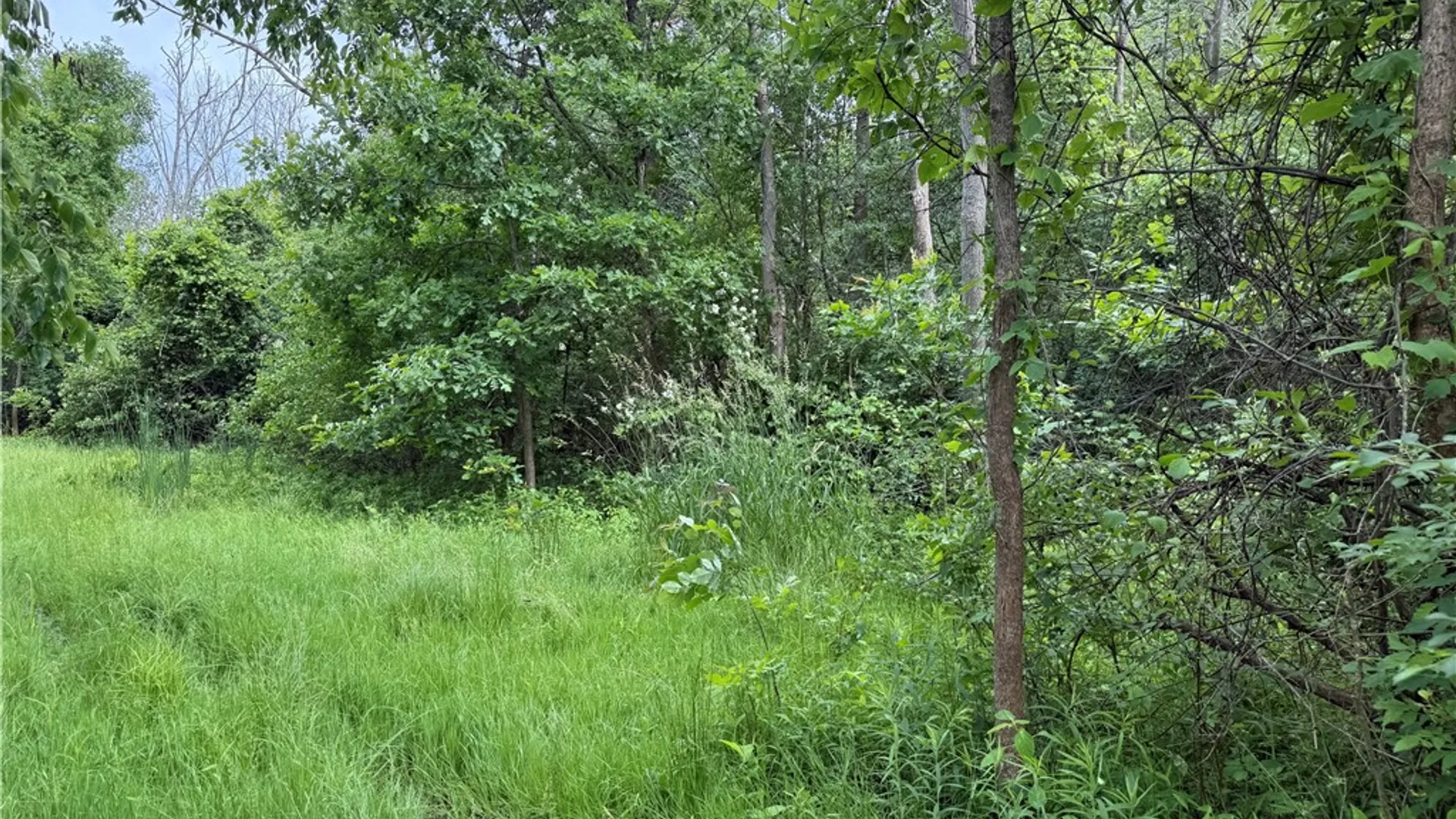 Property at 0 Shelby Barre Townline Road, Barre, NY 14411 10