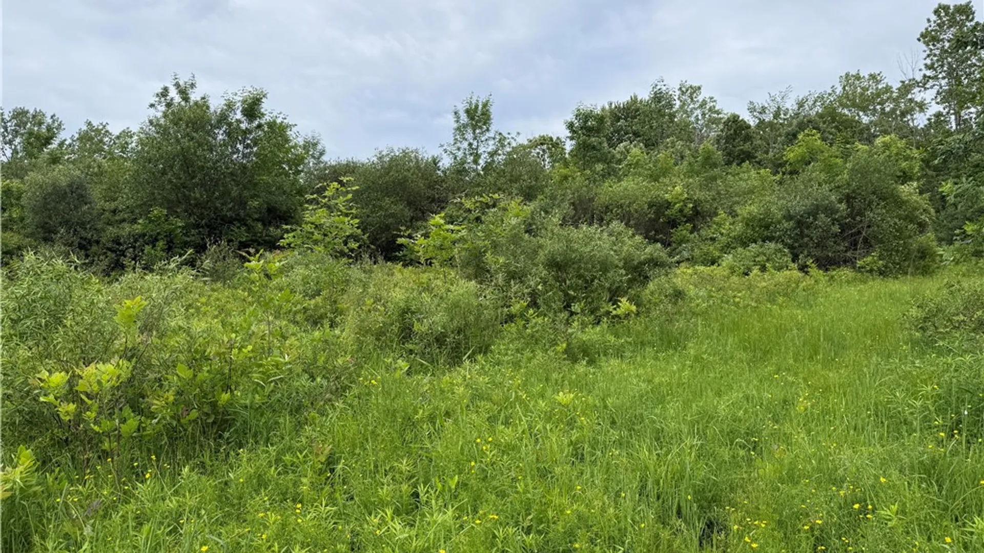 Property at 0 Shelby Barre Townline Road, Barre, NY 14411 12