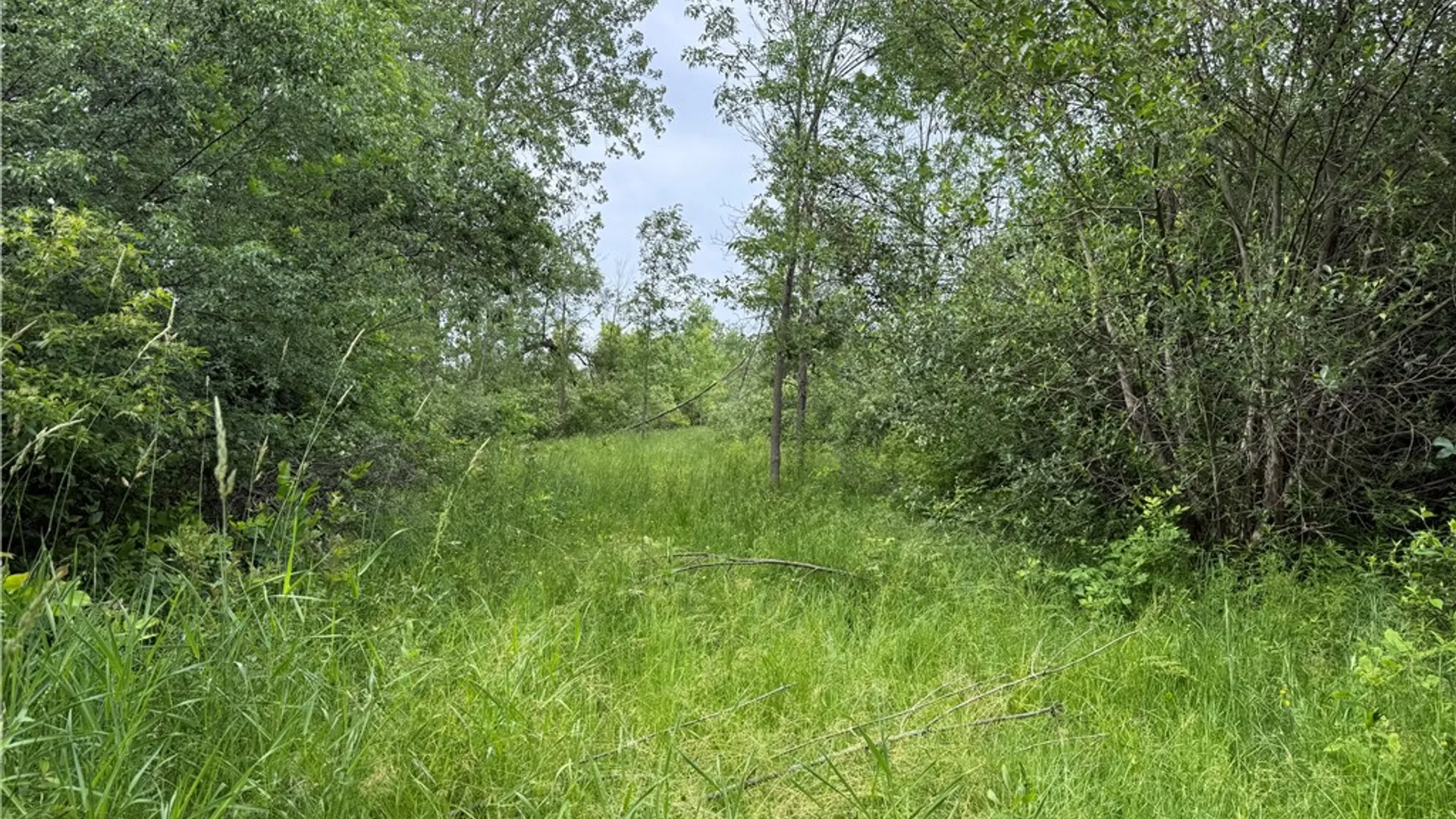 Property at 0 Shelby Barre Townline Road, Barre, NY 14411 13