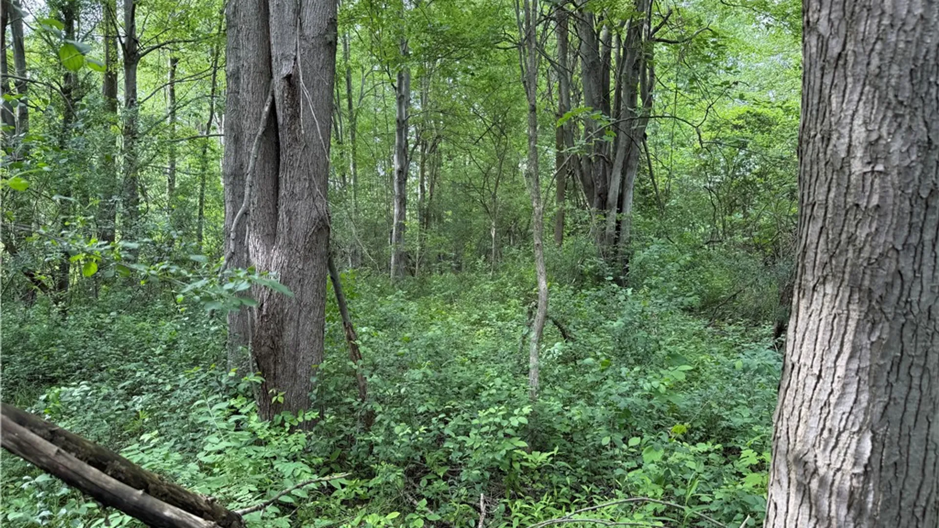 Property at 0 Shelby Barre Townline Road, Barre, NY 14411 16